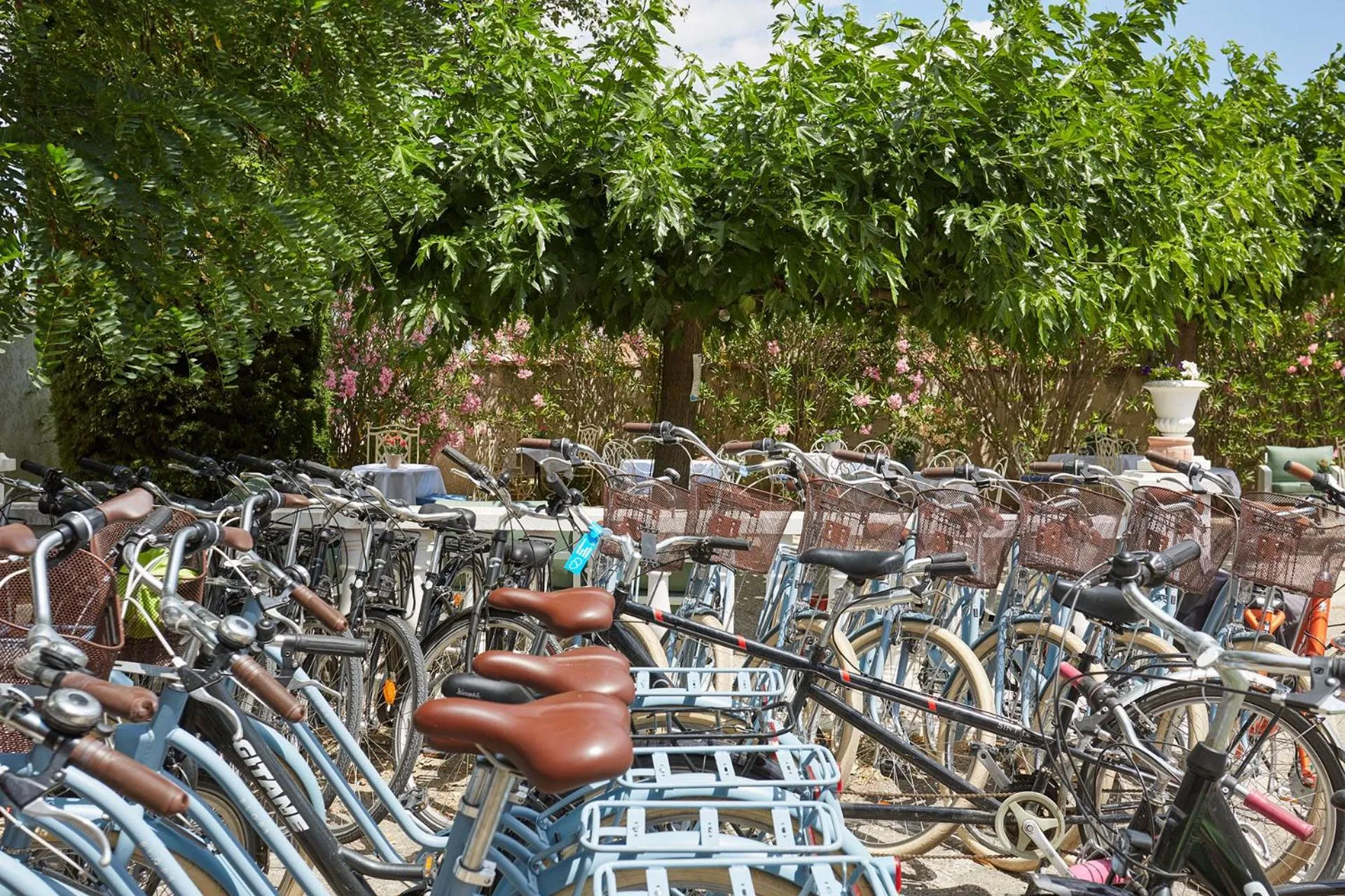 Cycling in Logis Hôtel Le Rodin