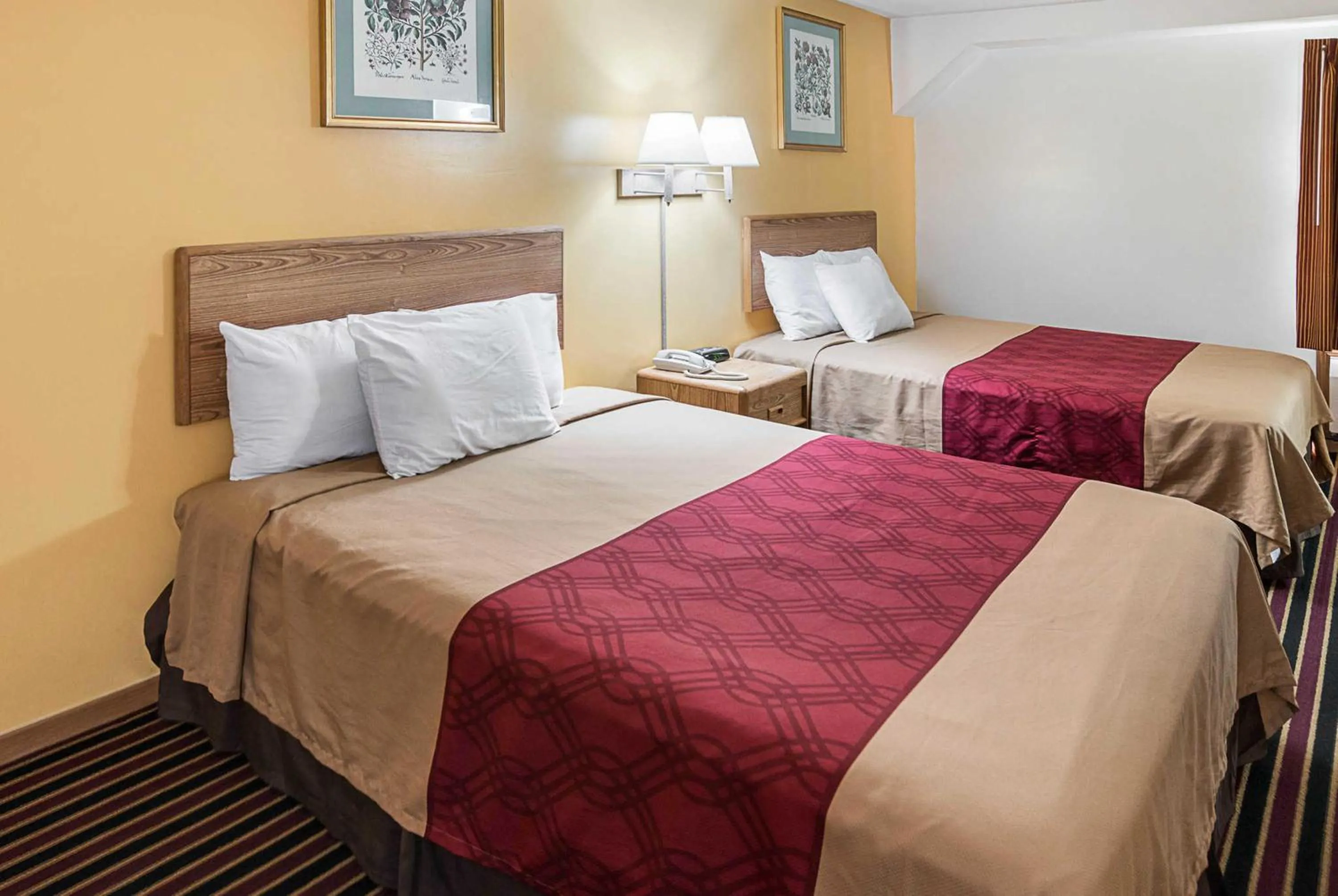 Queen Room with Two Queen Beds - Non-Smoking in Rodeway Inn & Suites Austin I-90