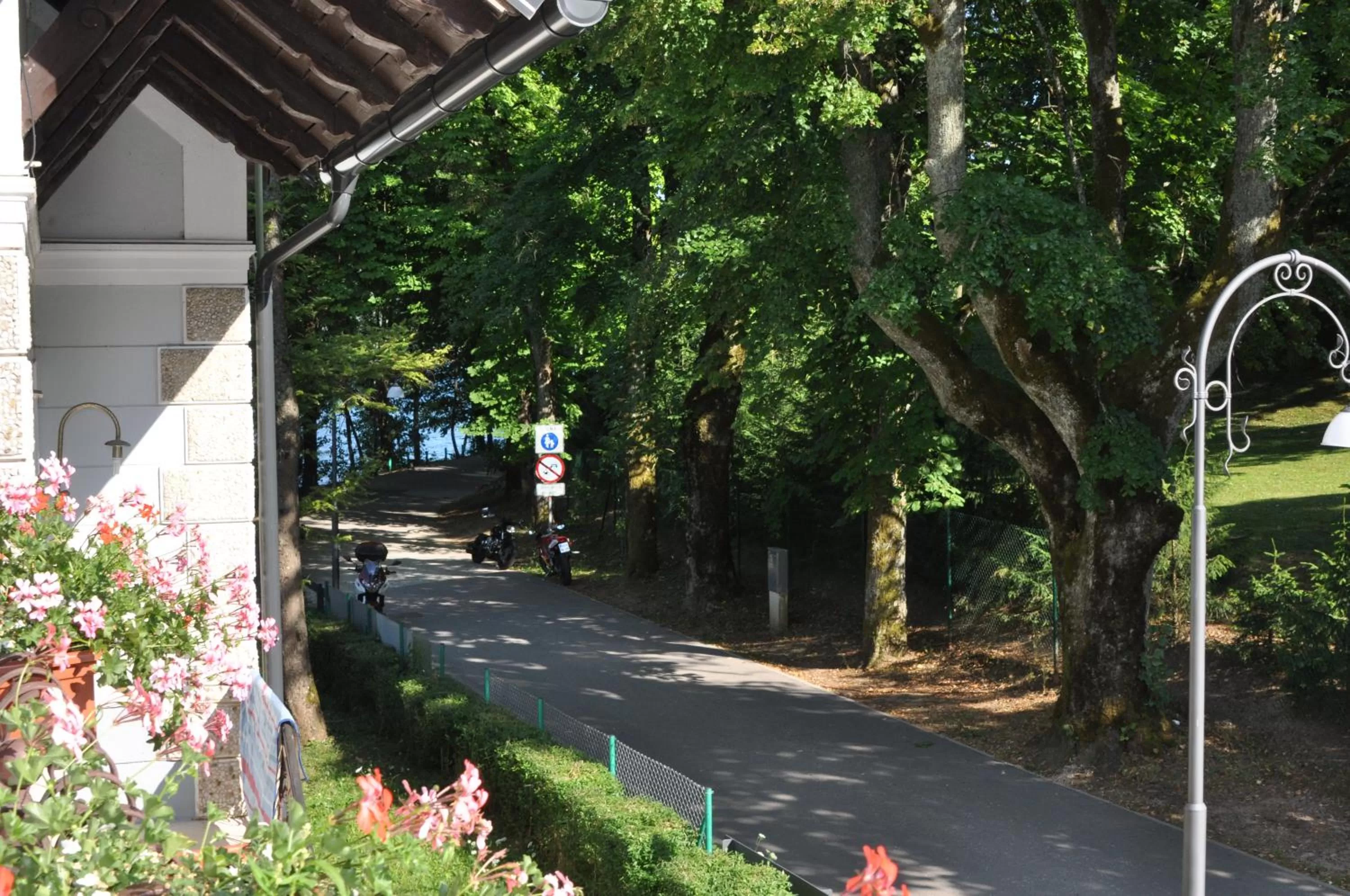 Garden view in Penzion Zaka