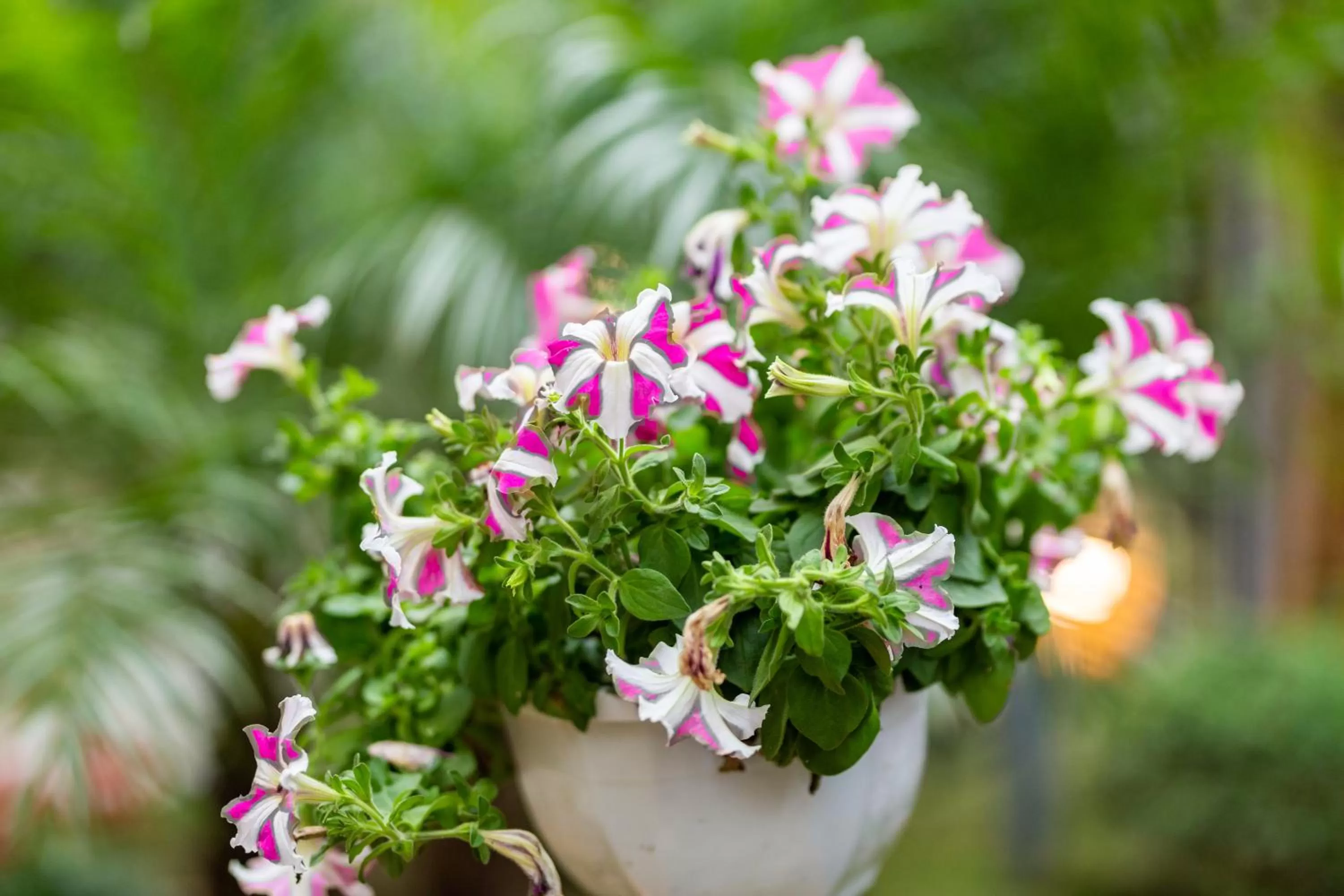 Property building in Trang An Moon Garden Homestay