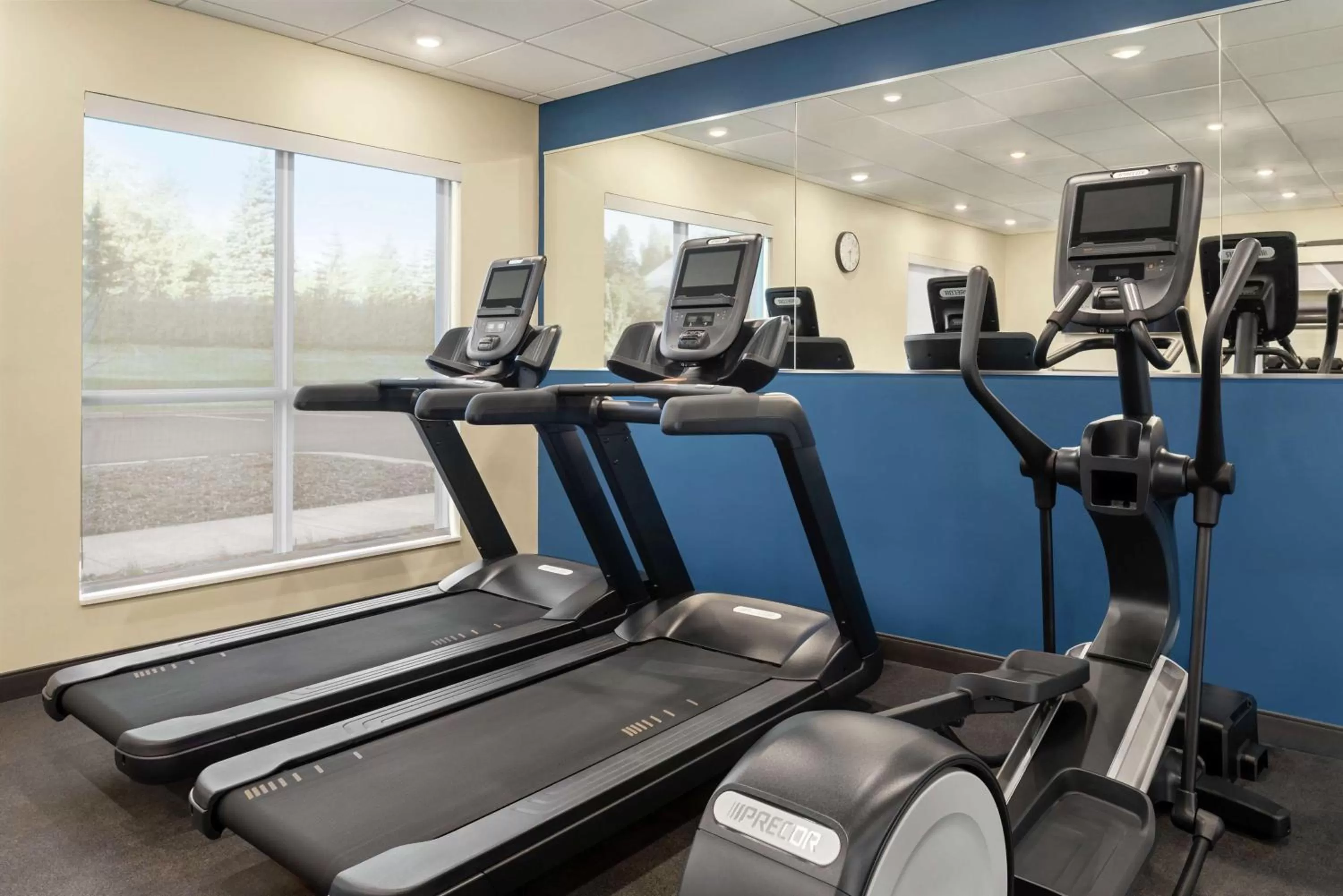 Fitness centre/facilities in Tru By Hilton Duluth Mall Area
