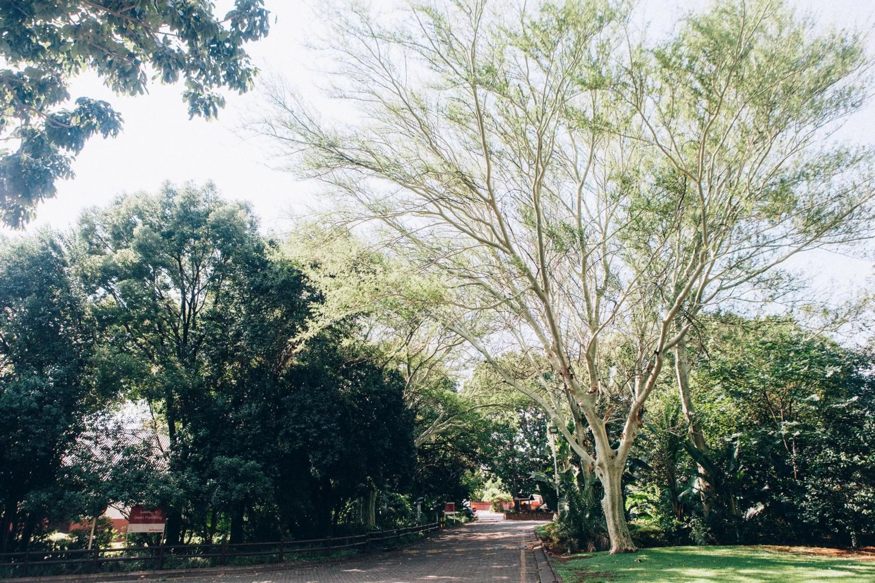 Natural landscape in ATKV Buffelspoort