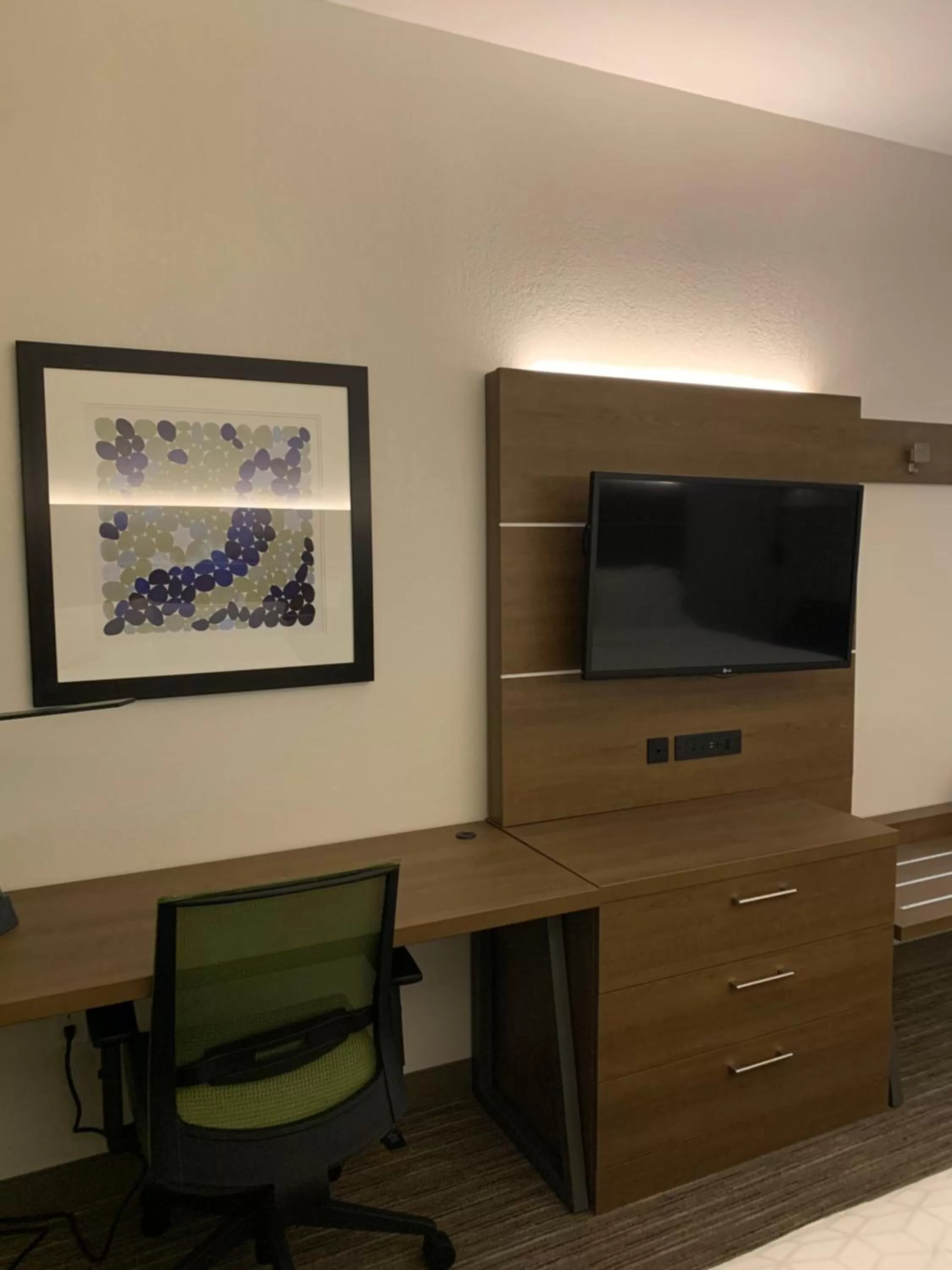 TV and multimedia in Holiday Inn Express Hotel & Suites Franklin by IHG