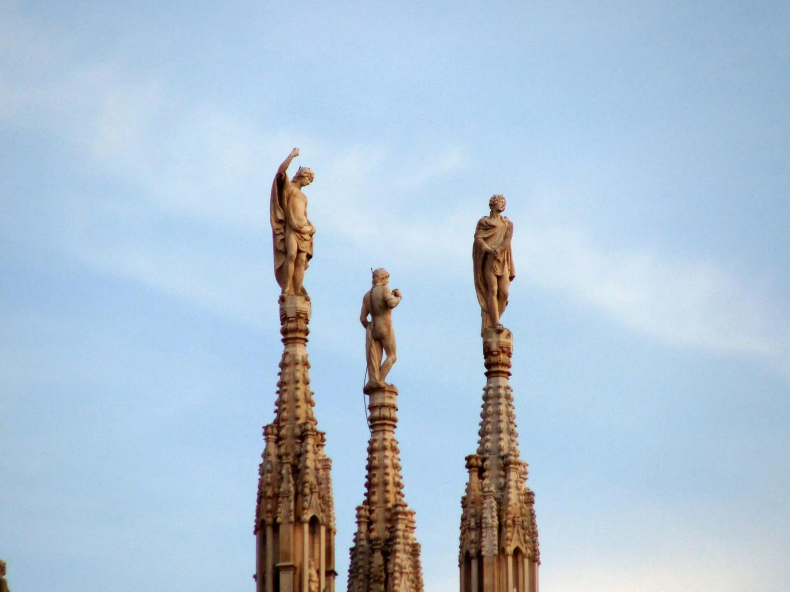 Area and facilities in Hotel Paradiso