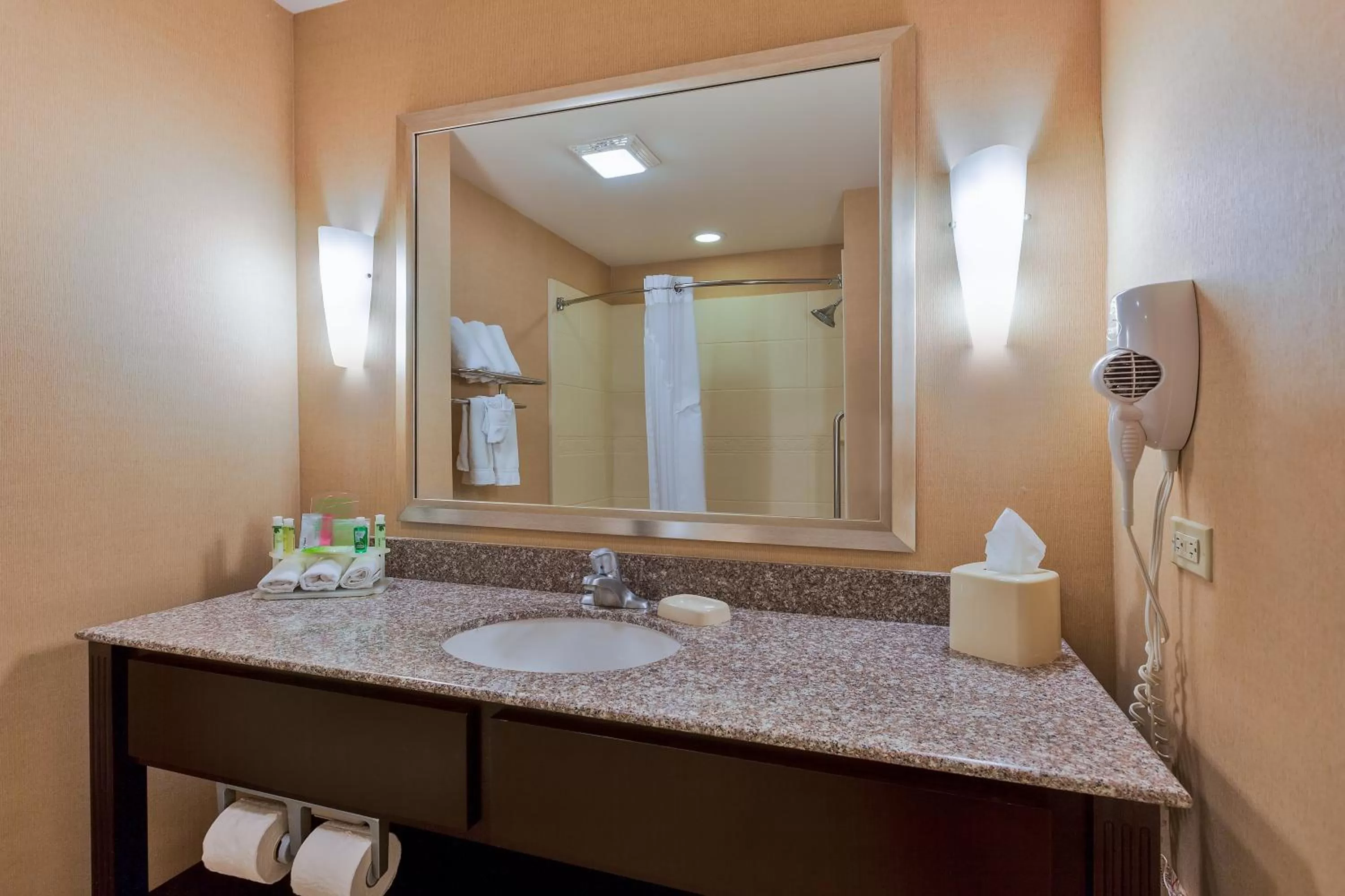 Bathroom in Holiday Inn Express and Suites Alpine by IHG
