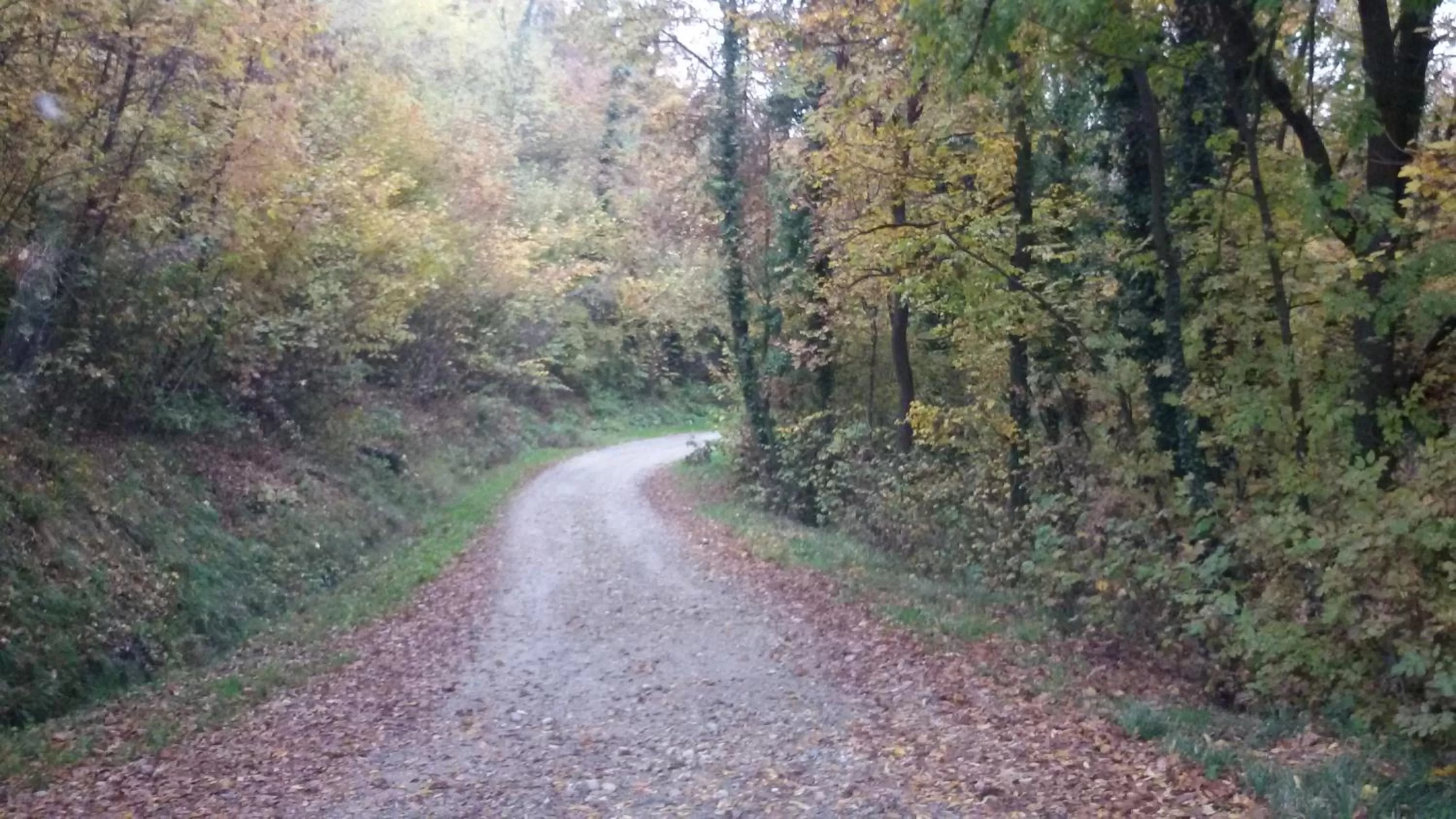 Street view in Cascina Torello