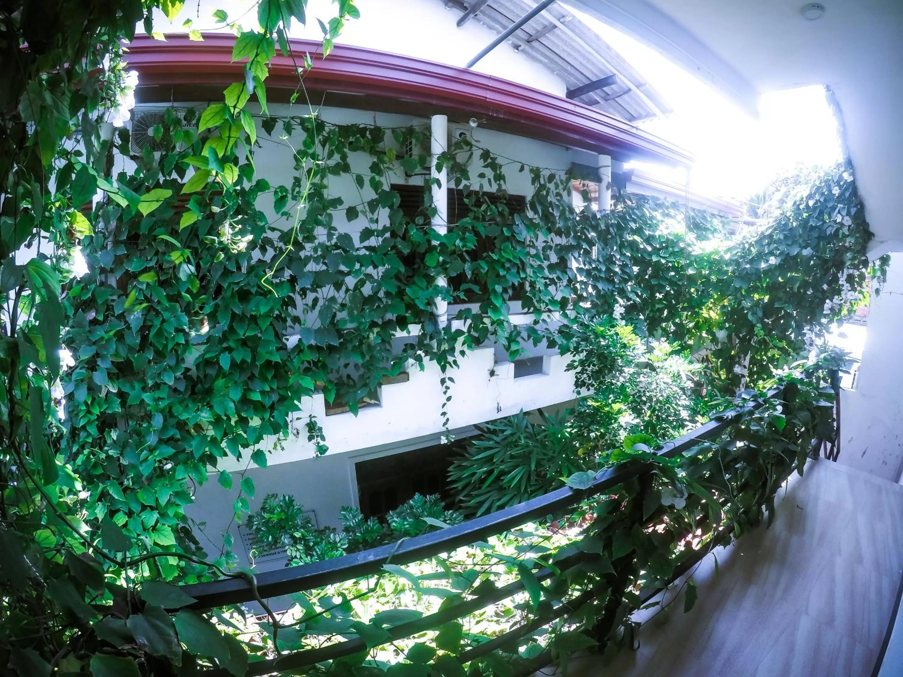 Property building in Mirissa Blue Whale Holiday Hotel