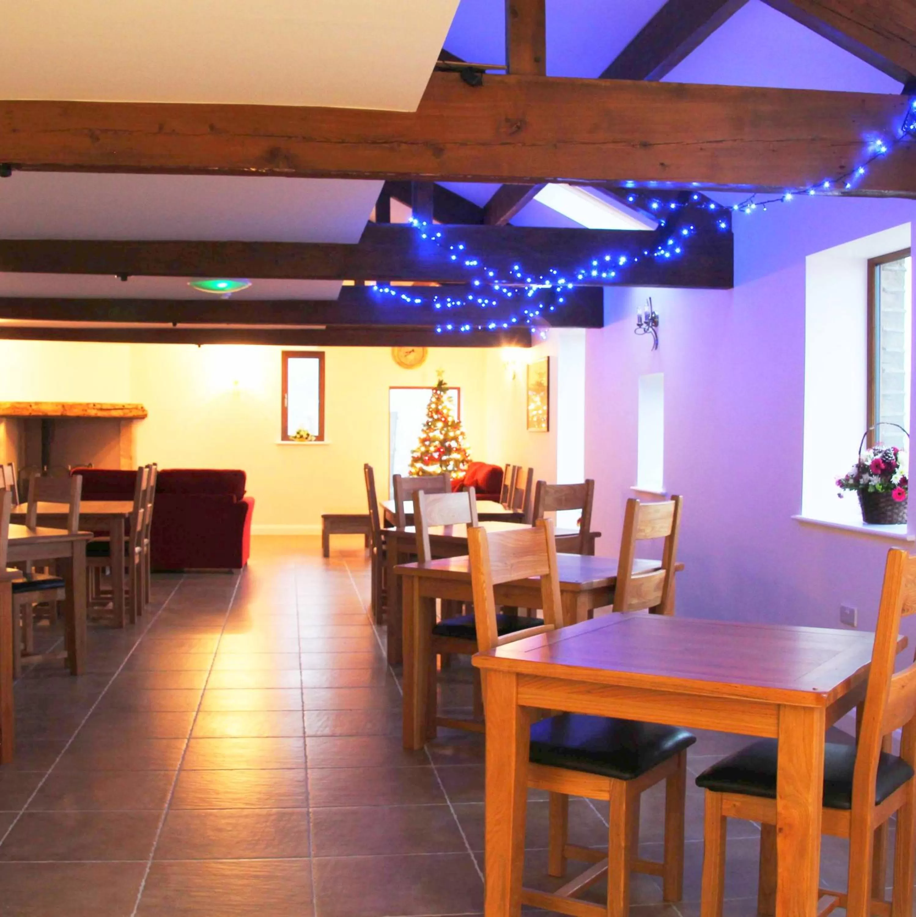 Restaurant/places to eat in Coddy's Farm