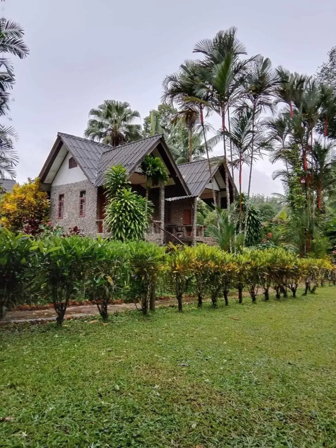Bungalow (4 Adults) with Air Conditioning in Tree Tops River Huts Bungalow (4 Adults) with Air Conditioning in Tree Tops River Huts