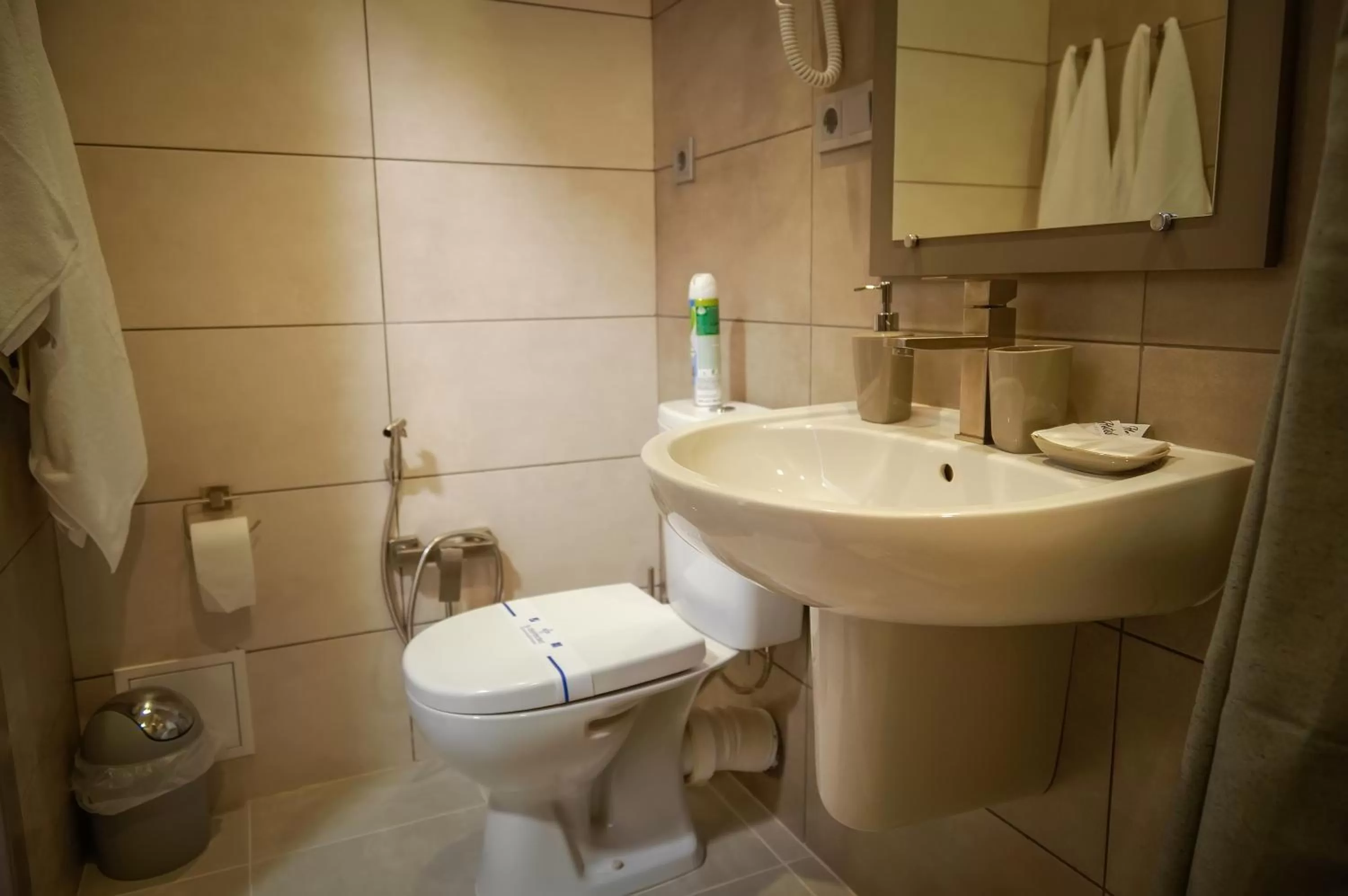 Bathroom in Delta Hotel