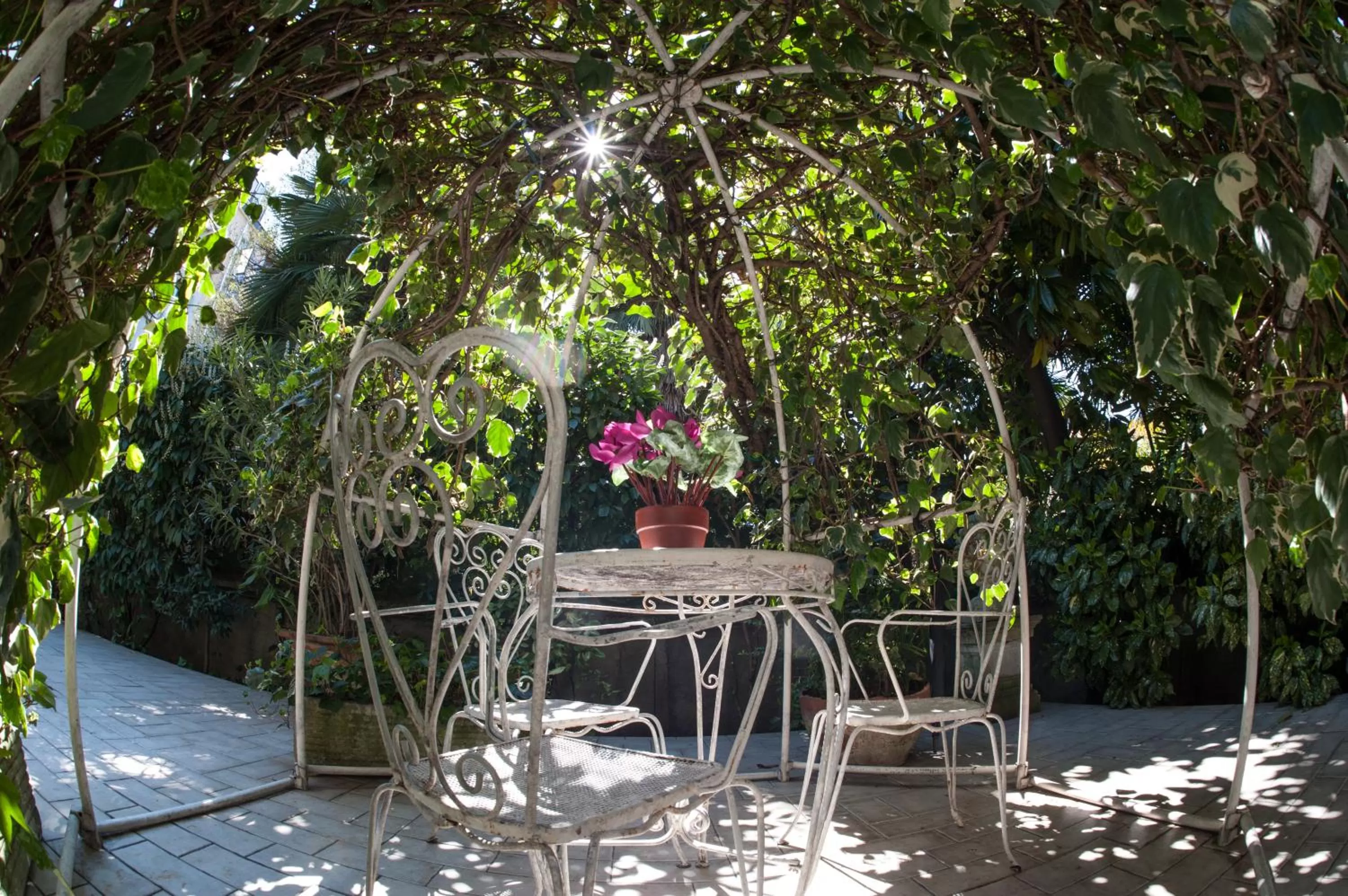 Patio in The Best Hotel