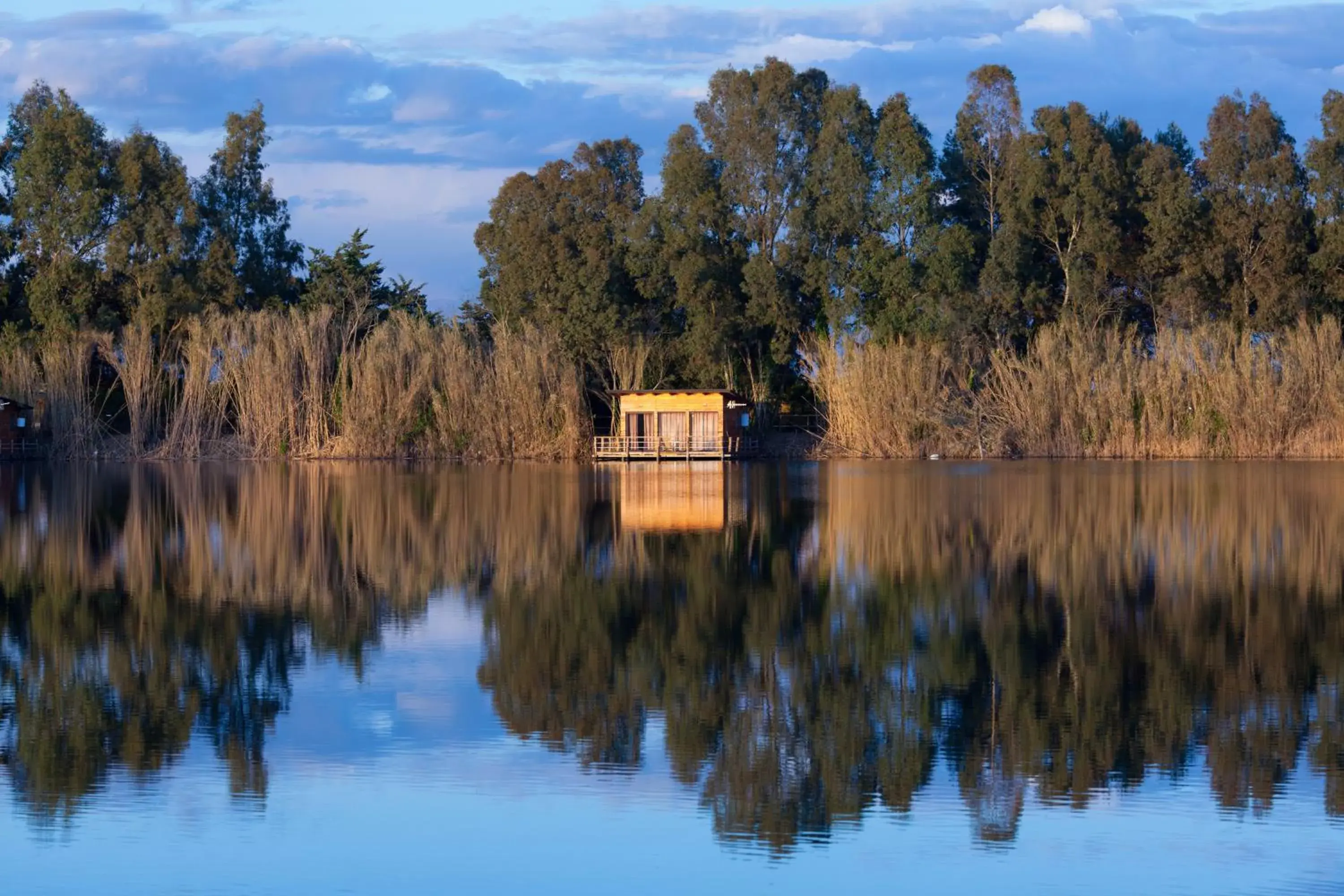 Plana Resort & SPA Plana Resort & SPA