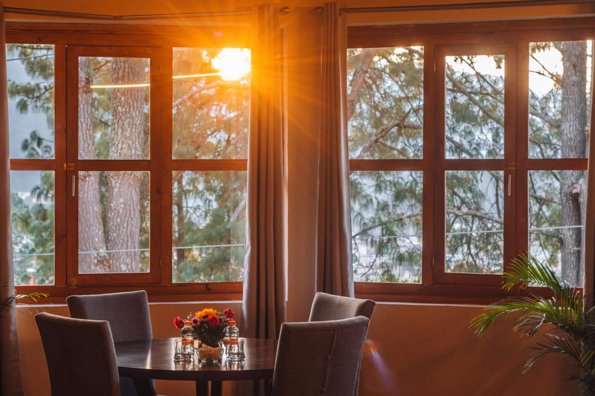 CORTIJO LA CASONA & Bungalow al Pie de la Montaña