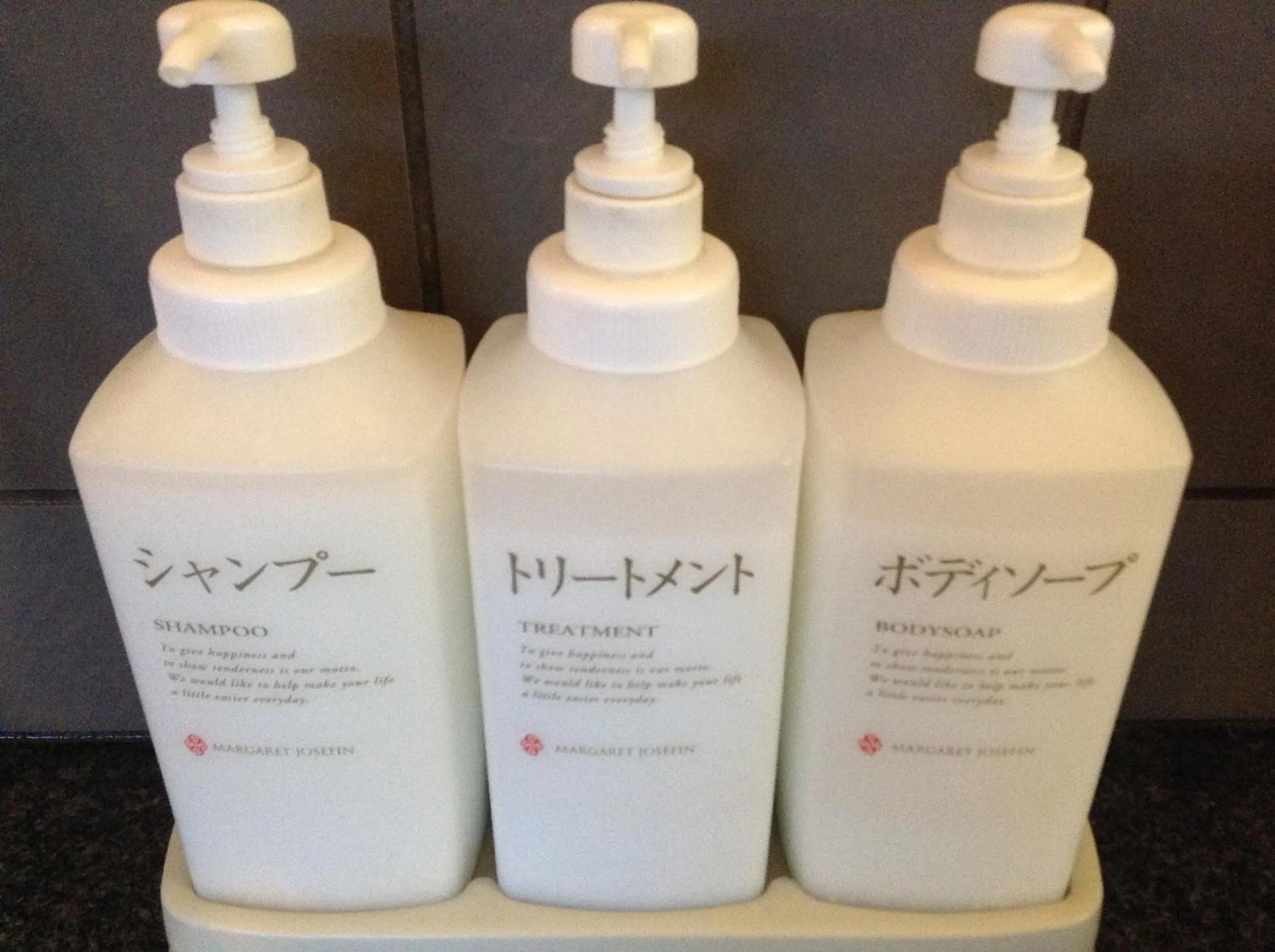 Public Bath in Matsumoto Tourist Hotel