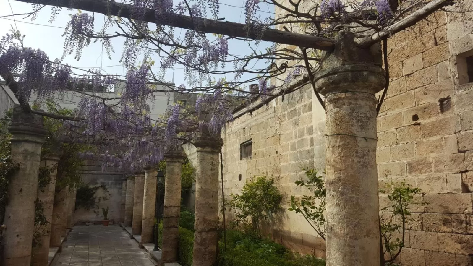 Garden in Sine Tempore B&B