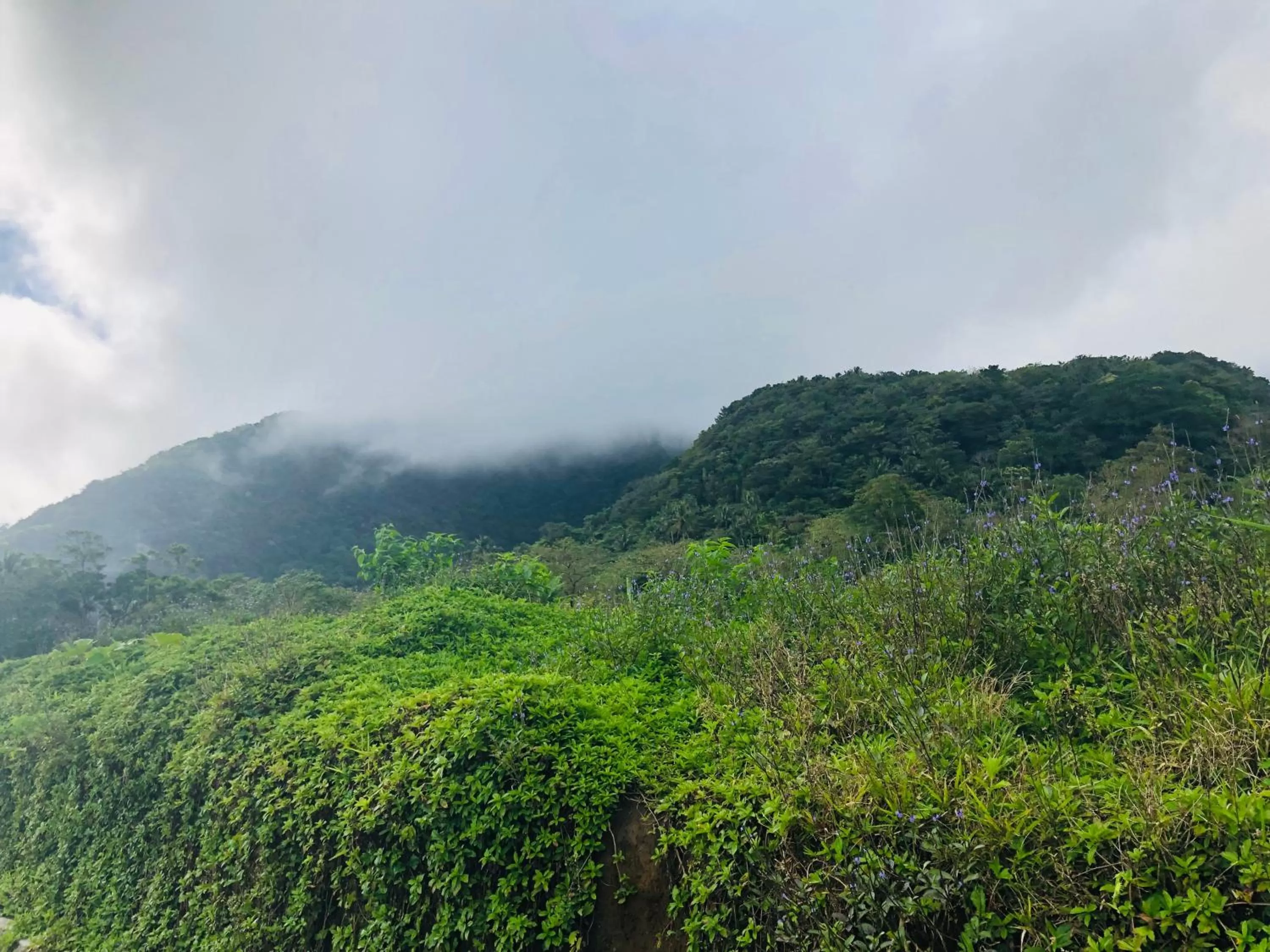 Natural Landscape in Bintana sa Paraiso Binunsaran
