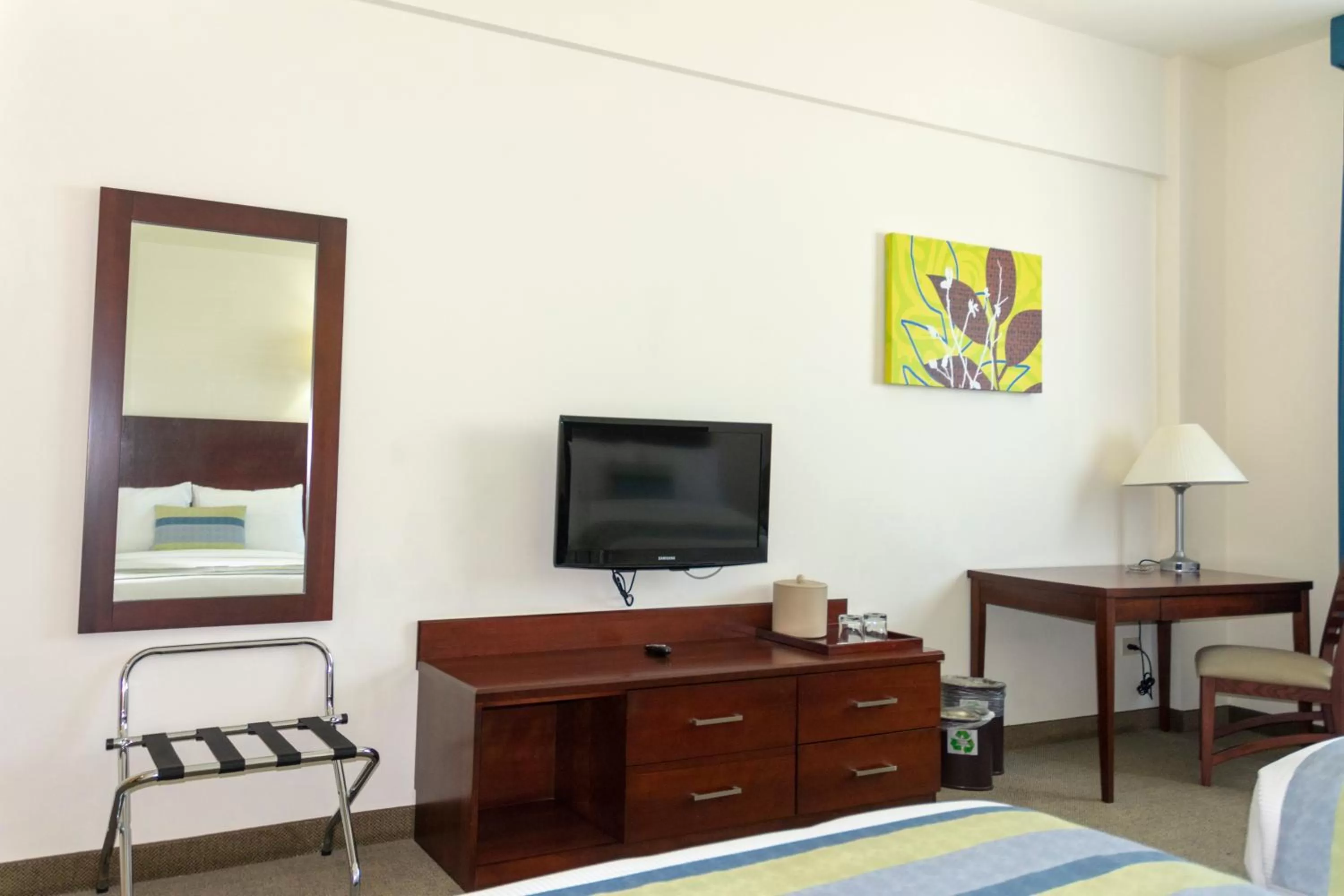 TV and multimedia in Hotel Aeropuerto Los Cabos