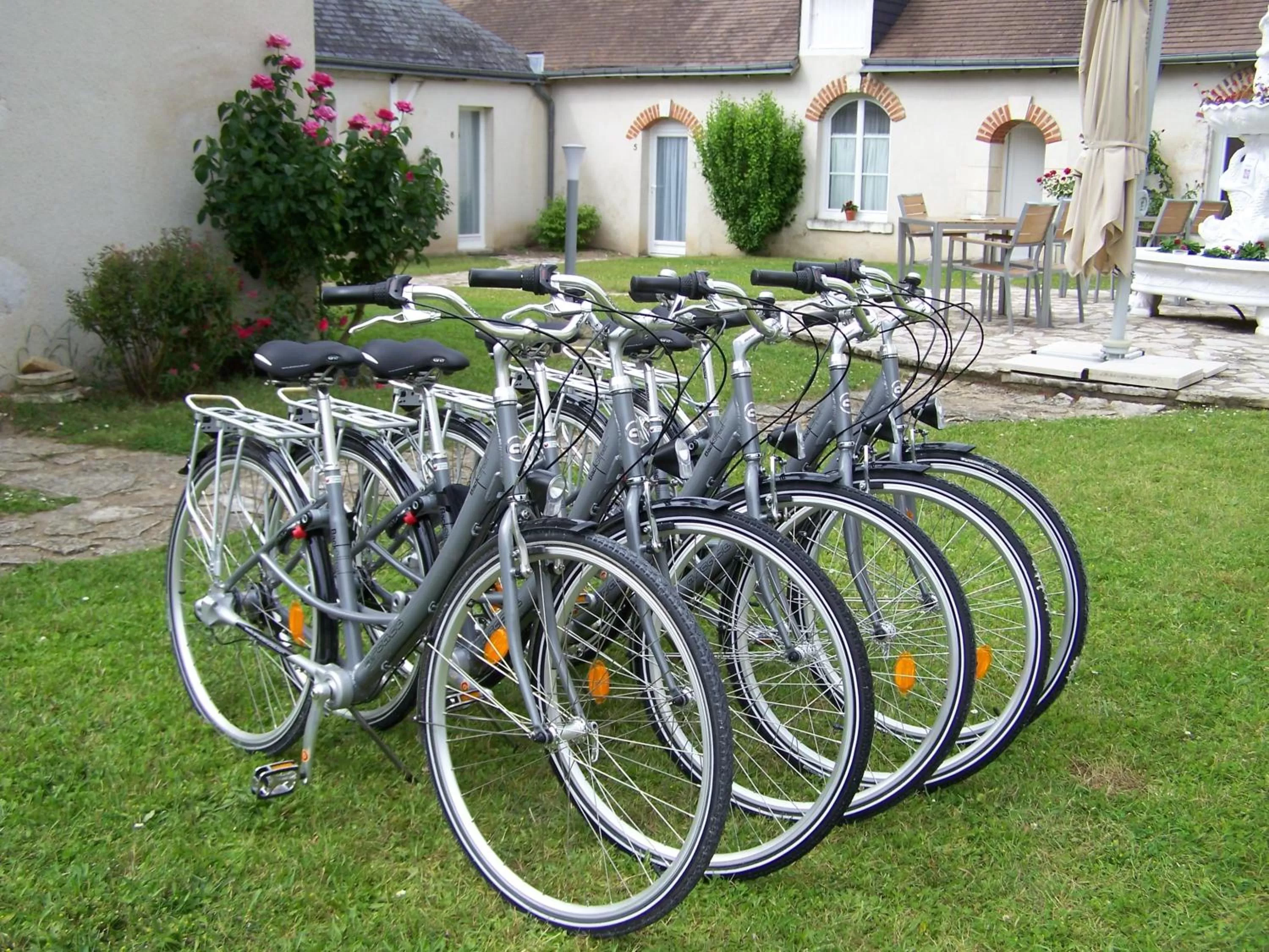 Garden in Hôtel Le Verger