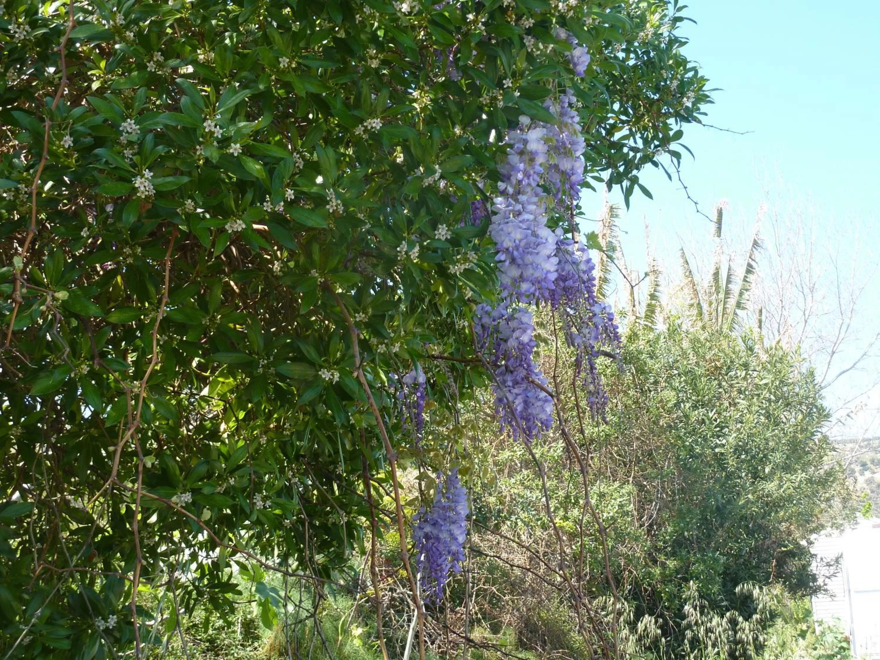 Other in Aphrodite Beach Hotel
