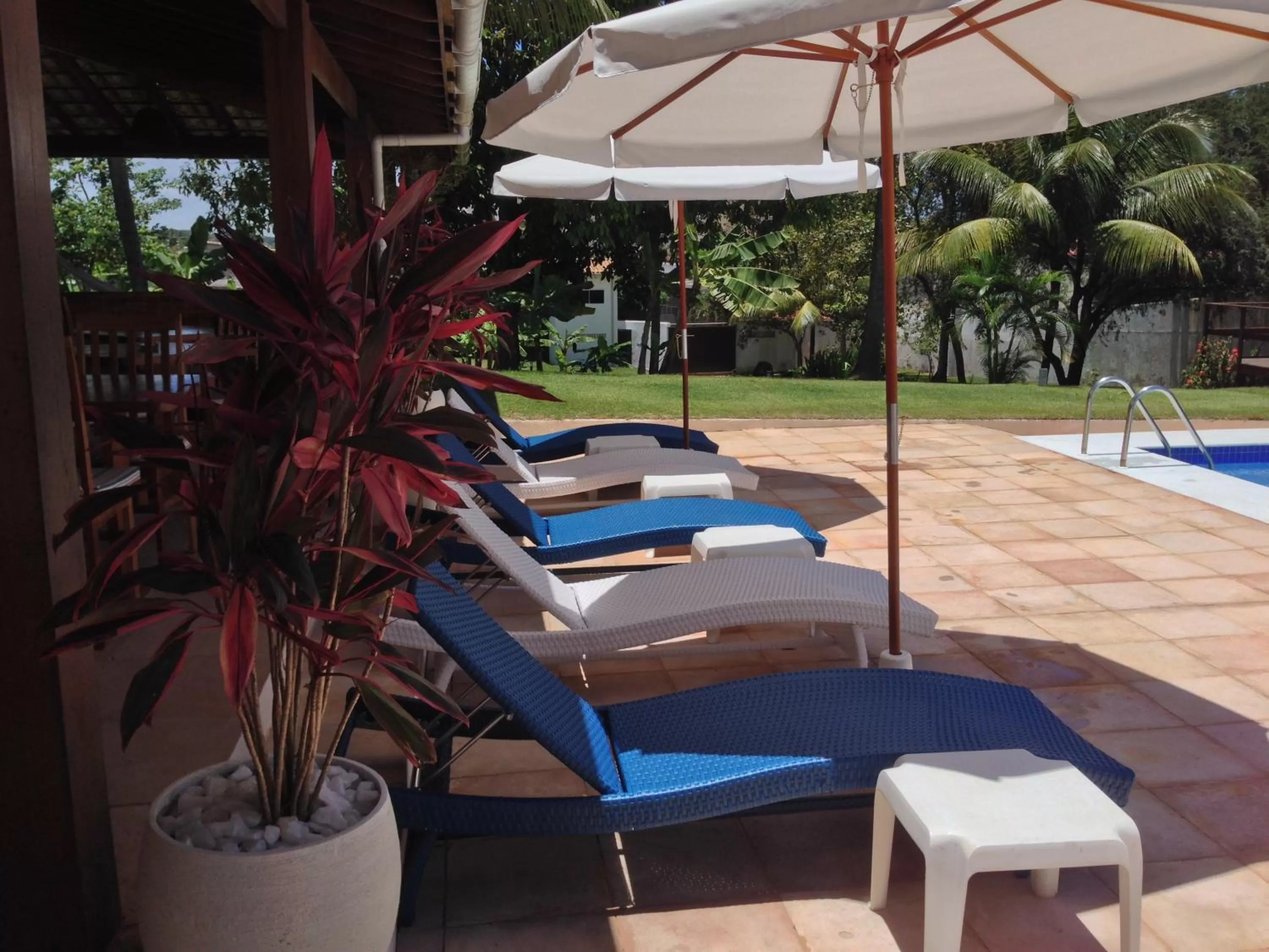 Day, Swimming Pool in Hotel Pousada Salvador Paradise