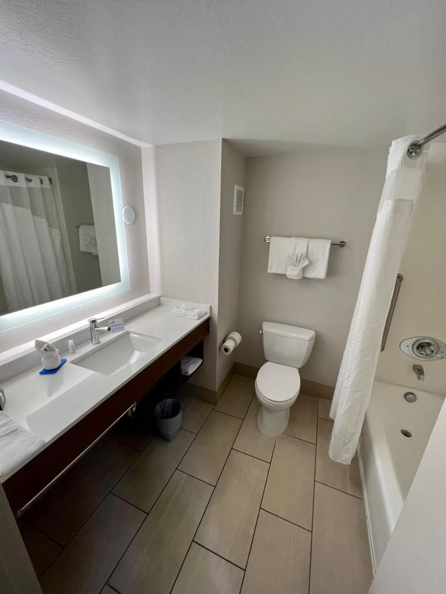 Bathroom in Holiday Inn Express Hotel & Suites Lake Elsinore by IHG