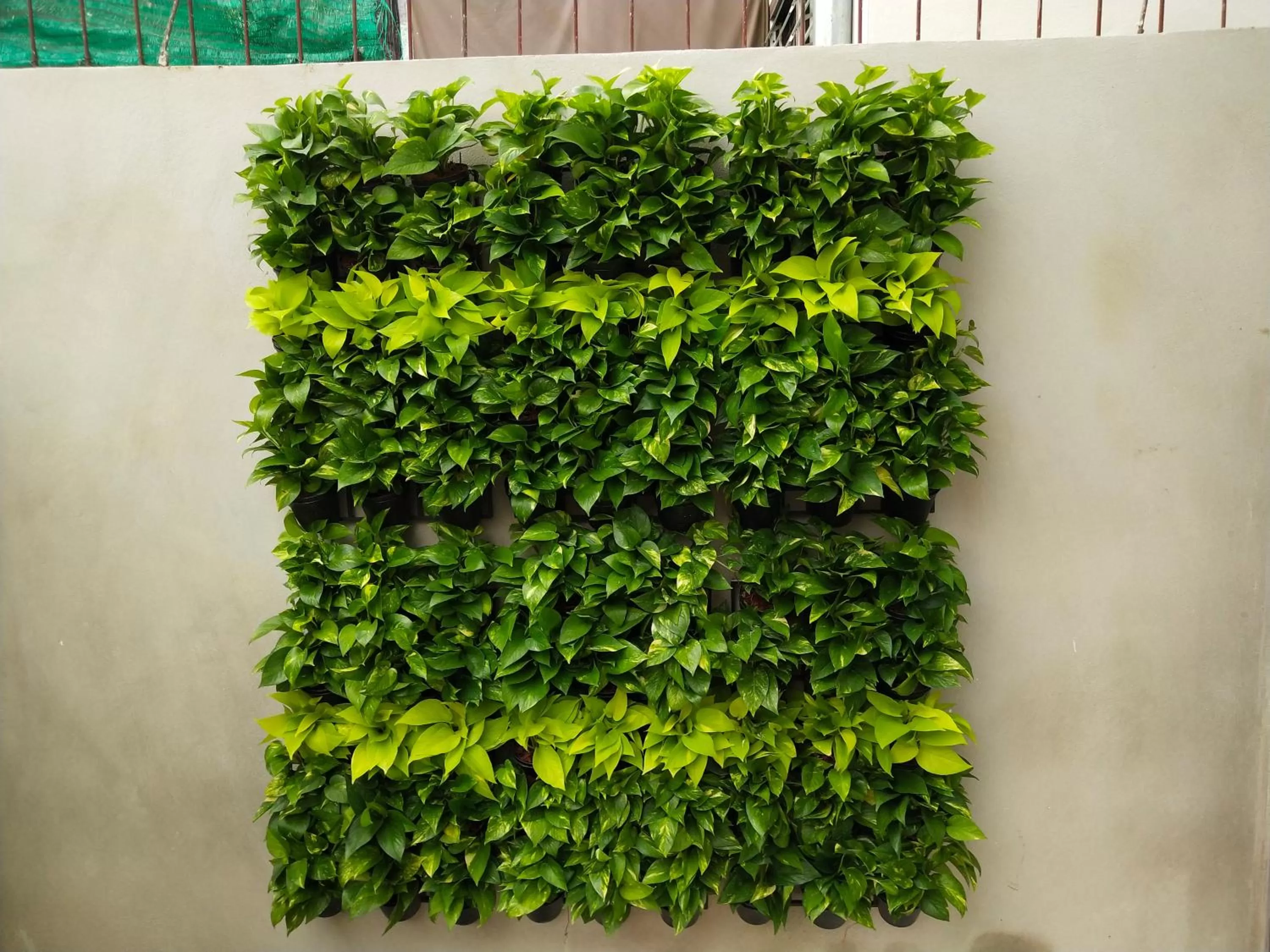 Garden in Hotel De Wualai