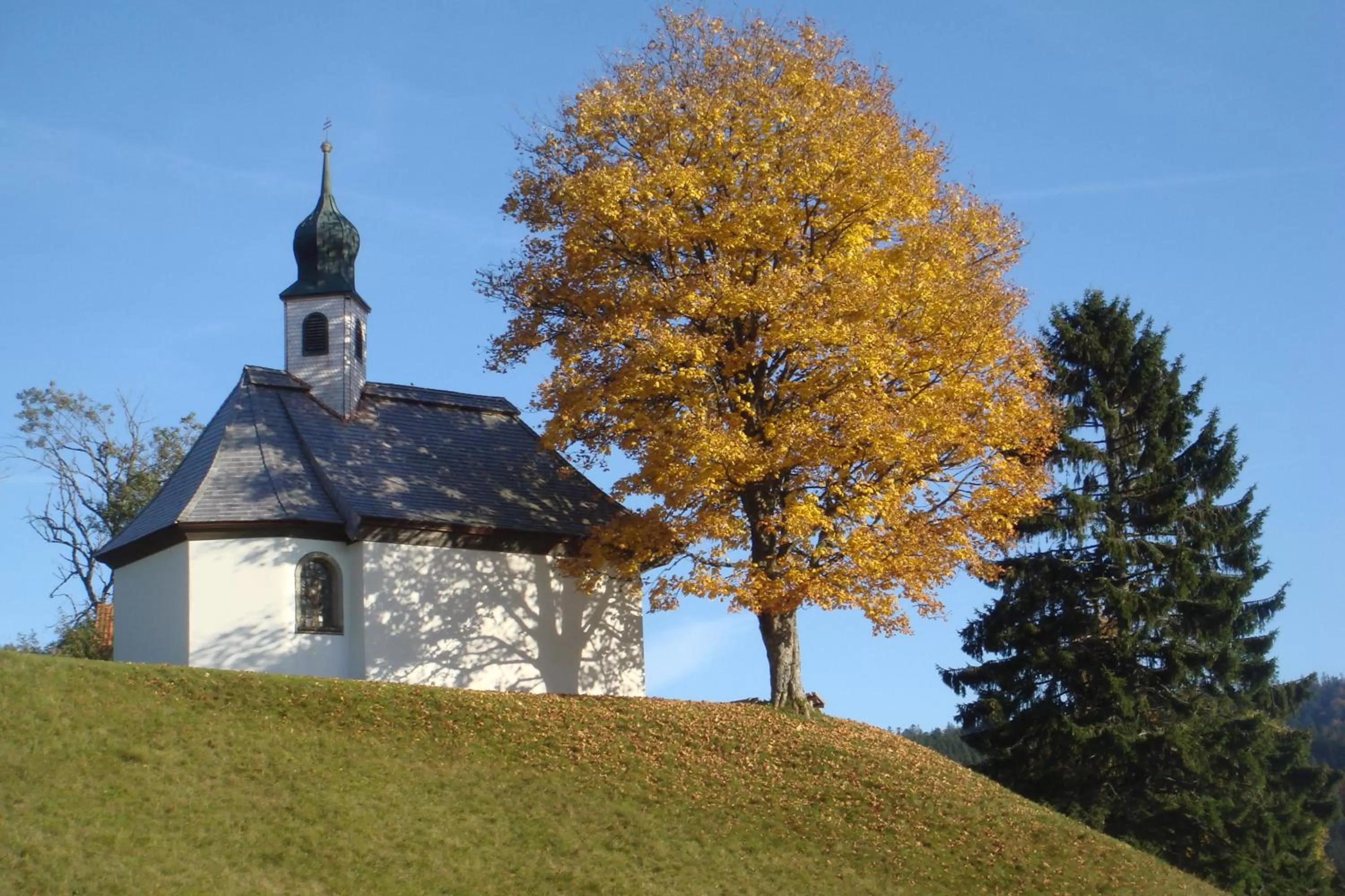 Property Building in Hotel Schwarzwald-Gasthof Rößle