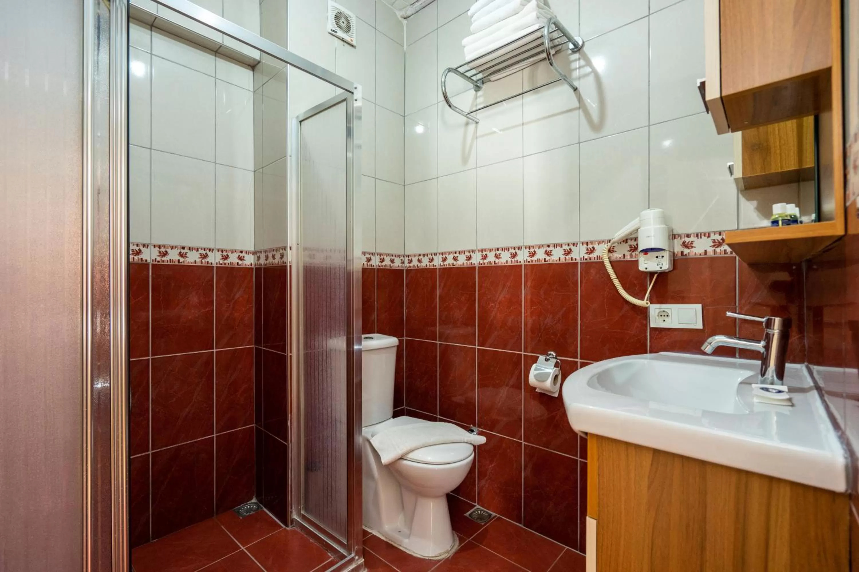 Shower, Bathroom in Gedikpasa Family