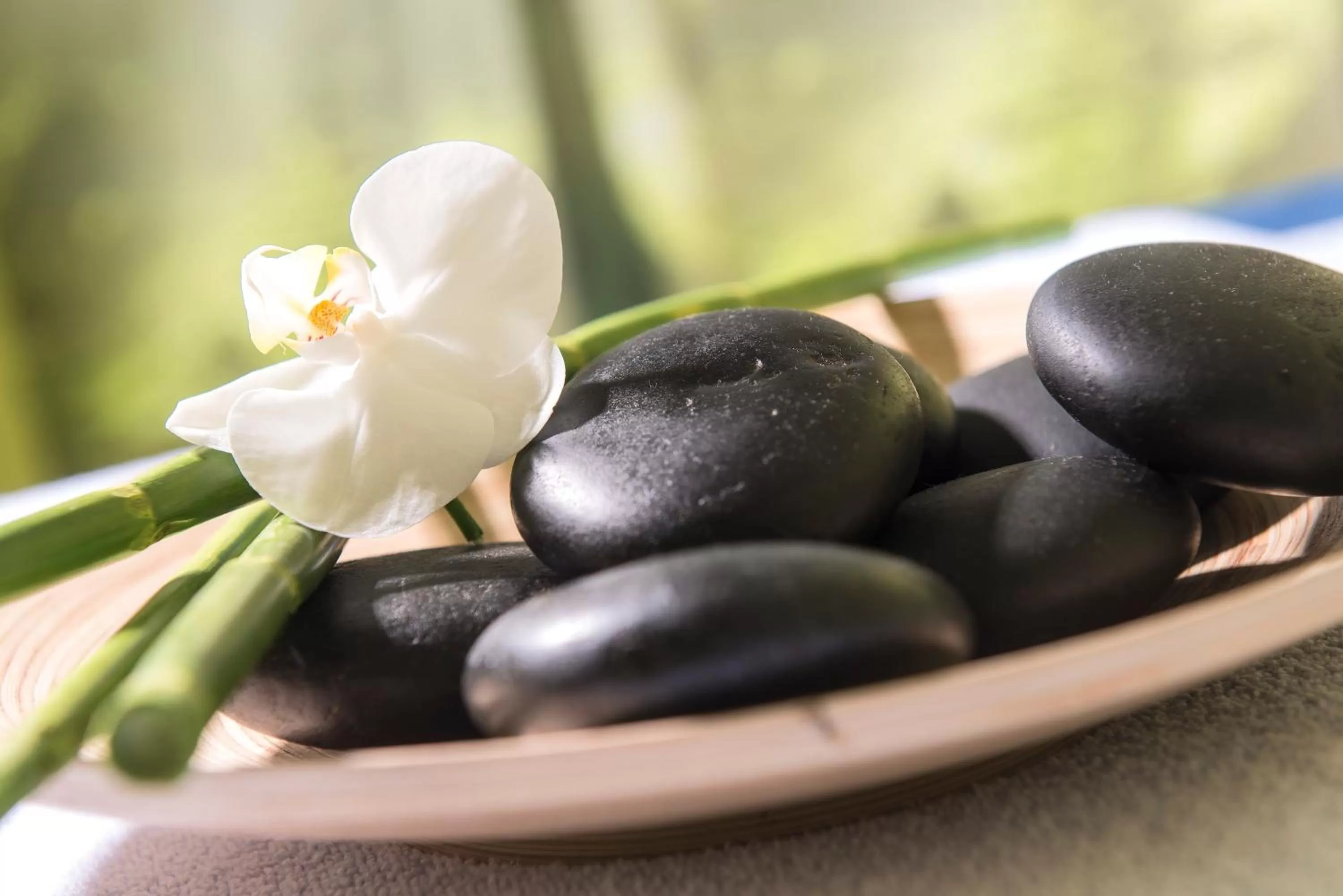 Massage in Best Western Plus Ostseehotel Waldschloesschen