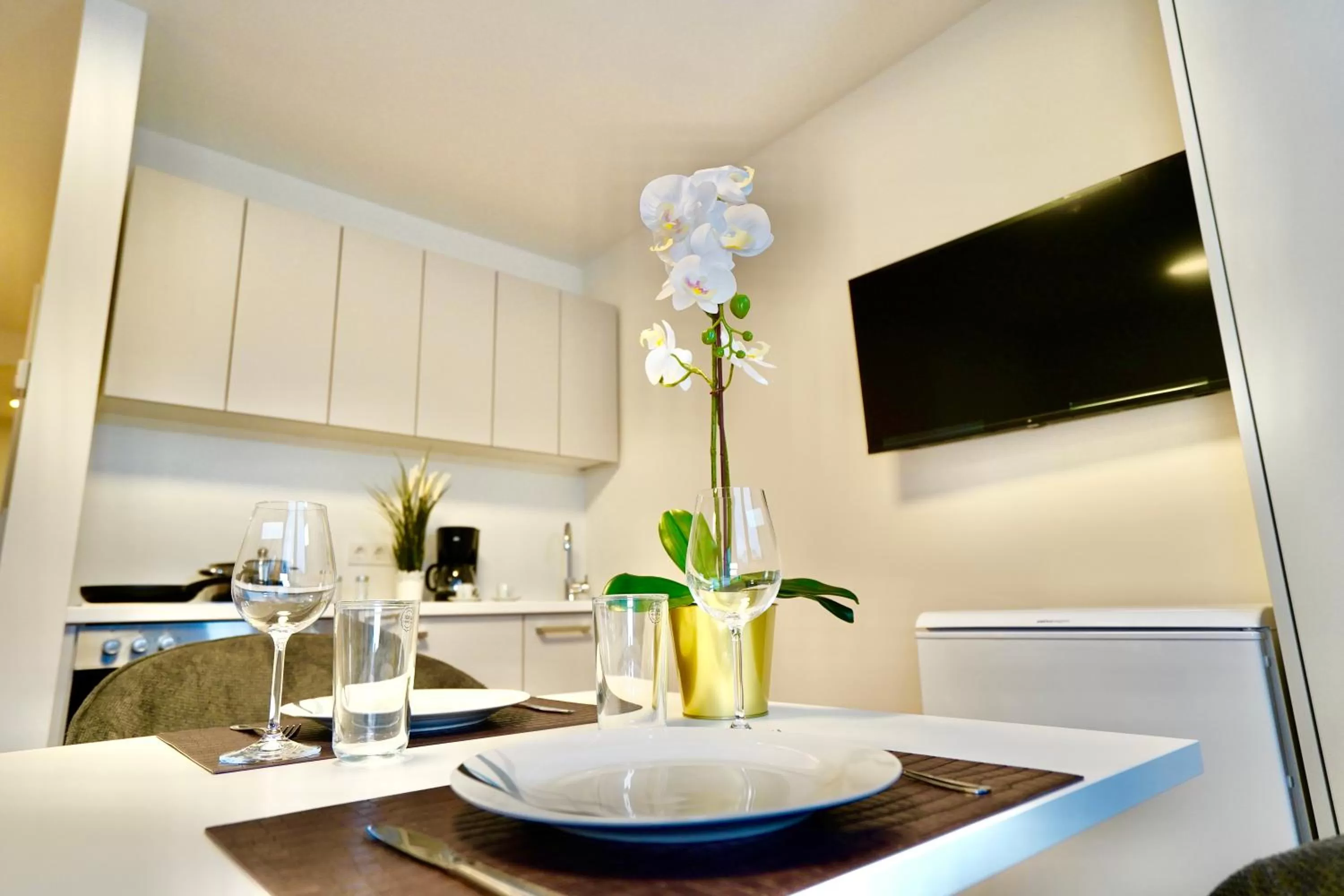 TV and multimedia in DM & S Apartment