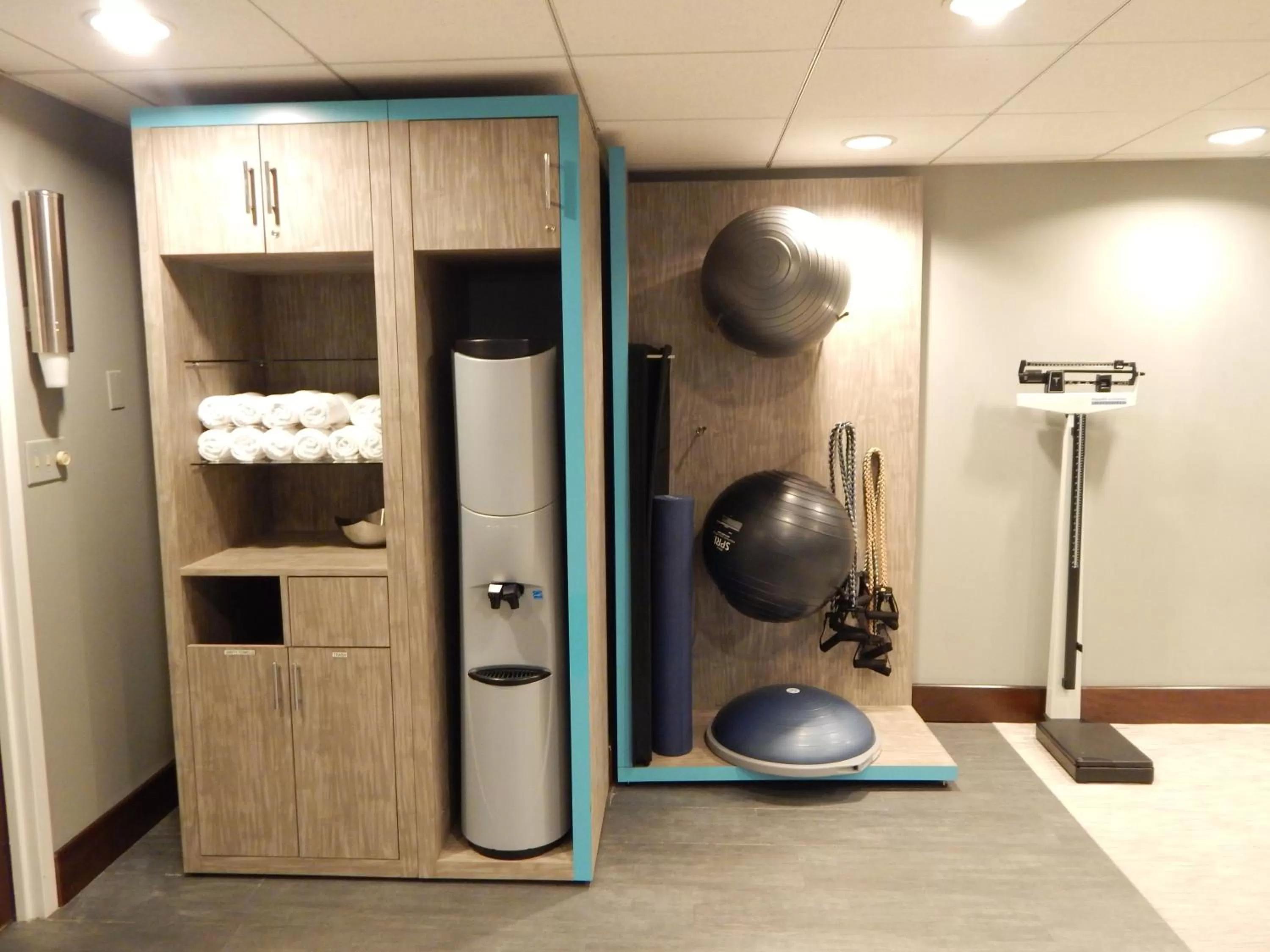 Fitness centre/facilities in Crowne Plaza - Chicago West Loop by IHG