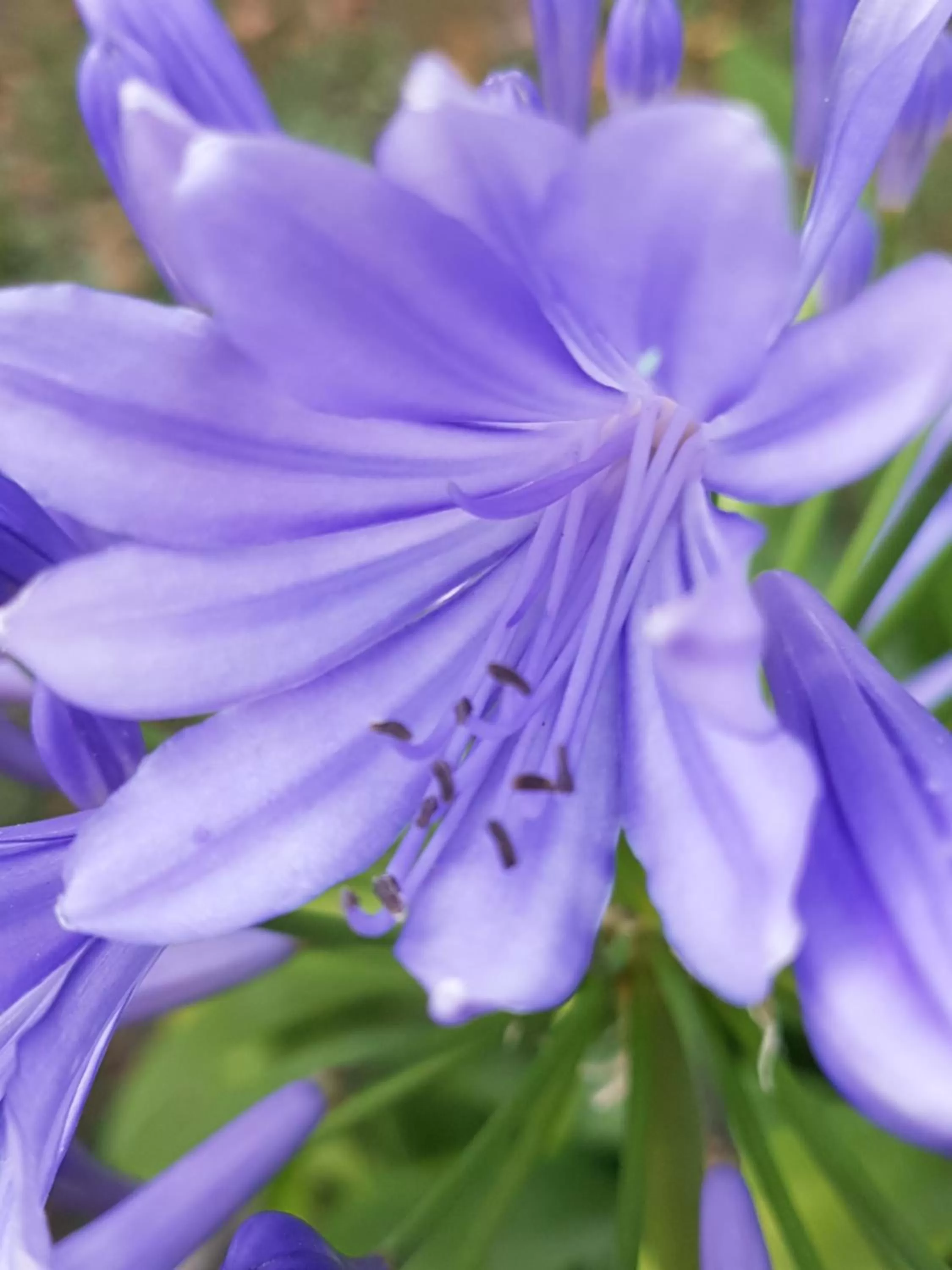 Summer in Kurhotel Anders