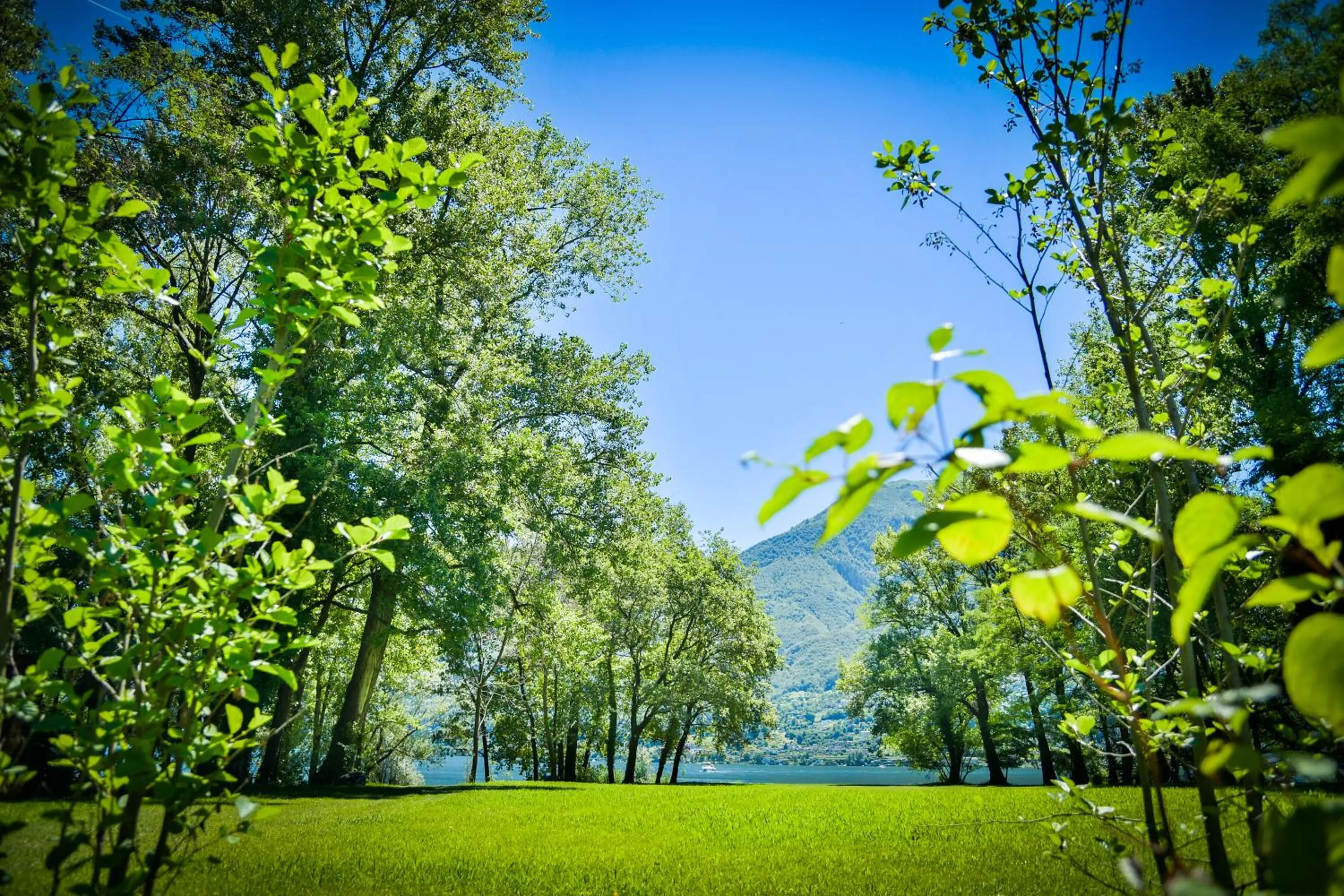 Garden in Castello del Sole Beach Resort&SPA