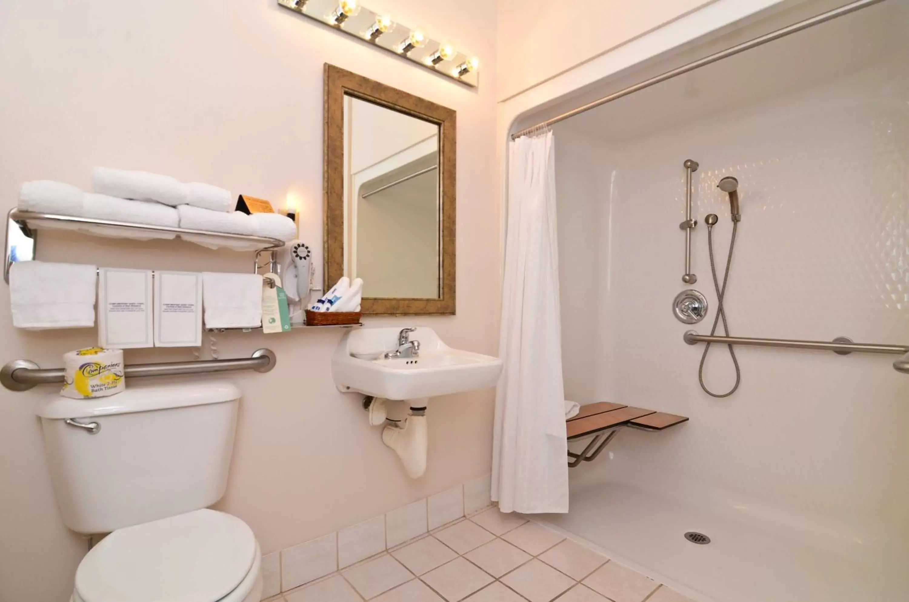 King Room with Roll-In Shower - Disability Access in Best Western Brookfield King Room with Roll-In Shower - Disability Access in Best Western Brookfield