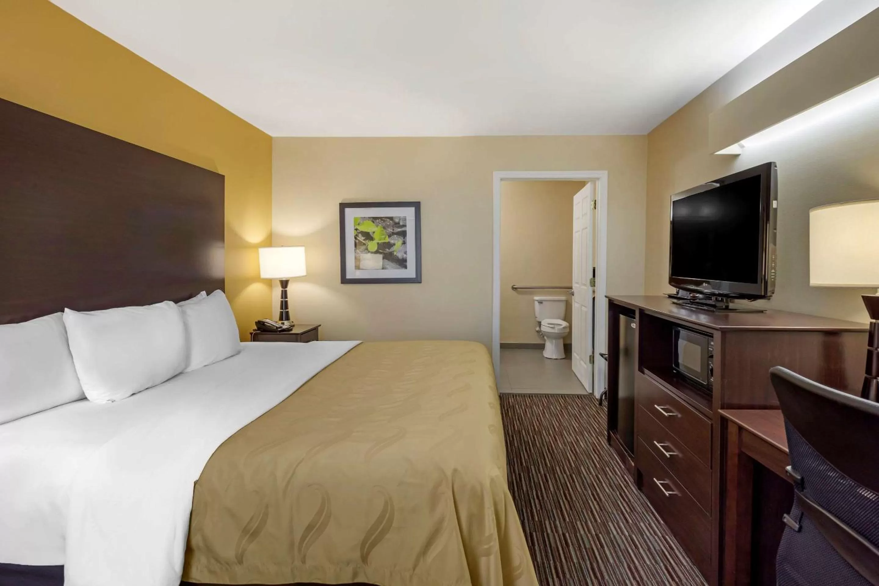 Photo of the whole room, Bed in Quality Inn Seneca Clemson Area U S 123