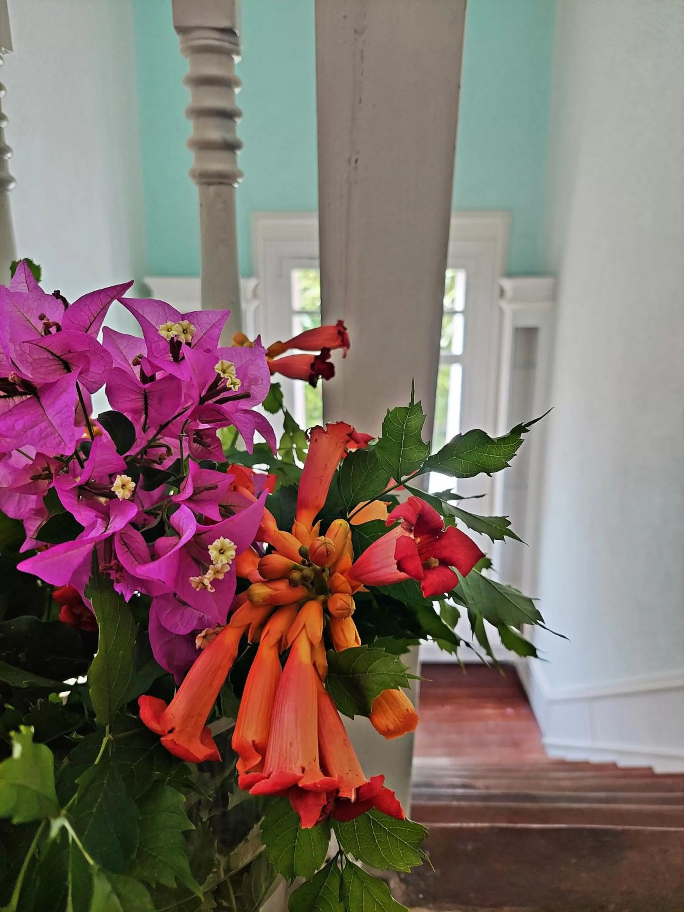 Decorative detail in N1 Casa de Madrid - greenpeace line