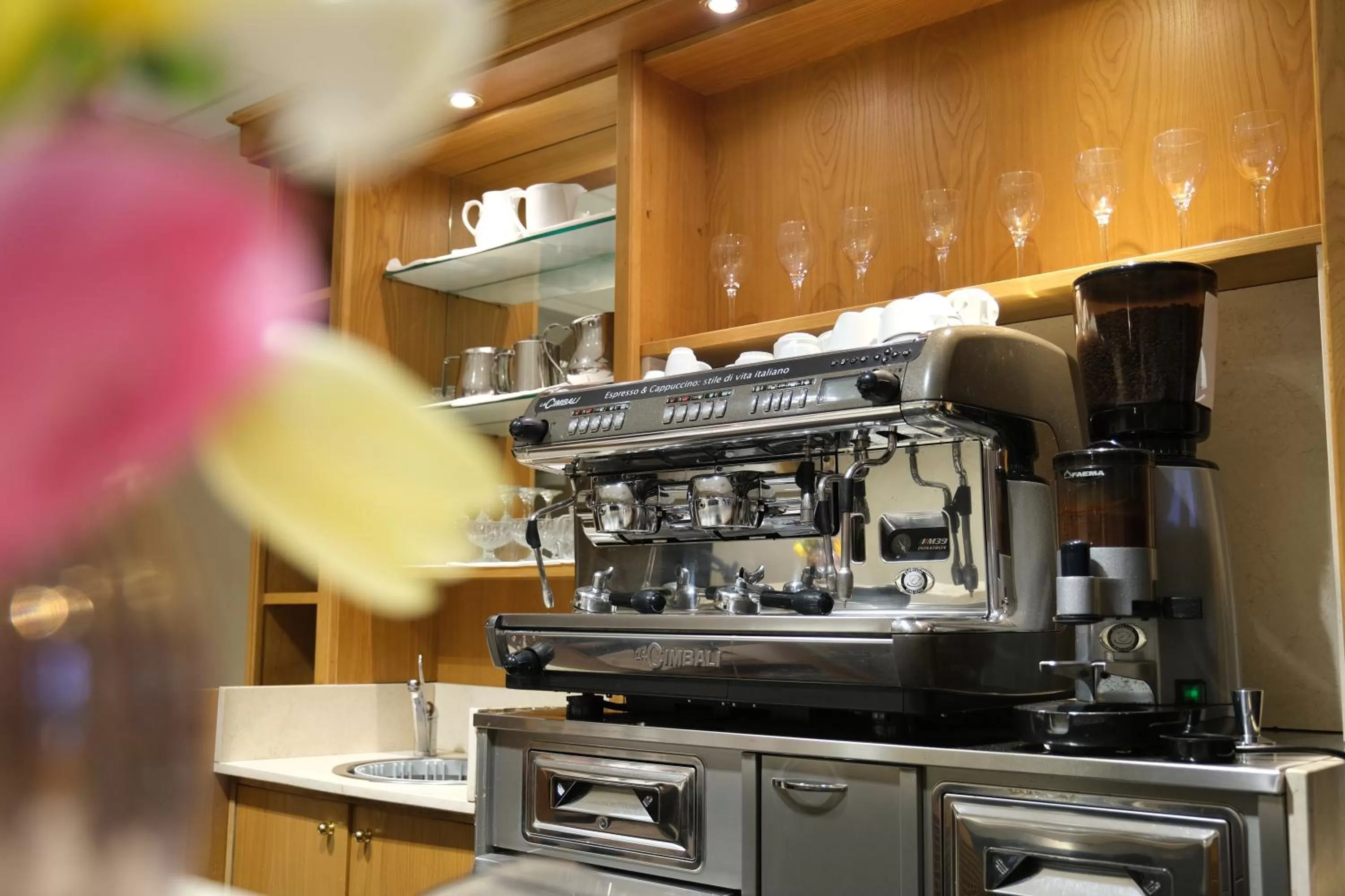 Coffee/tea facilities, Kitchen/Kitchenette in Country House Elite