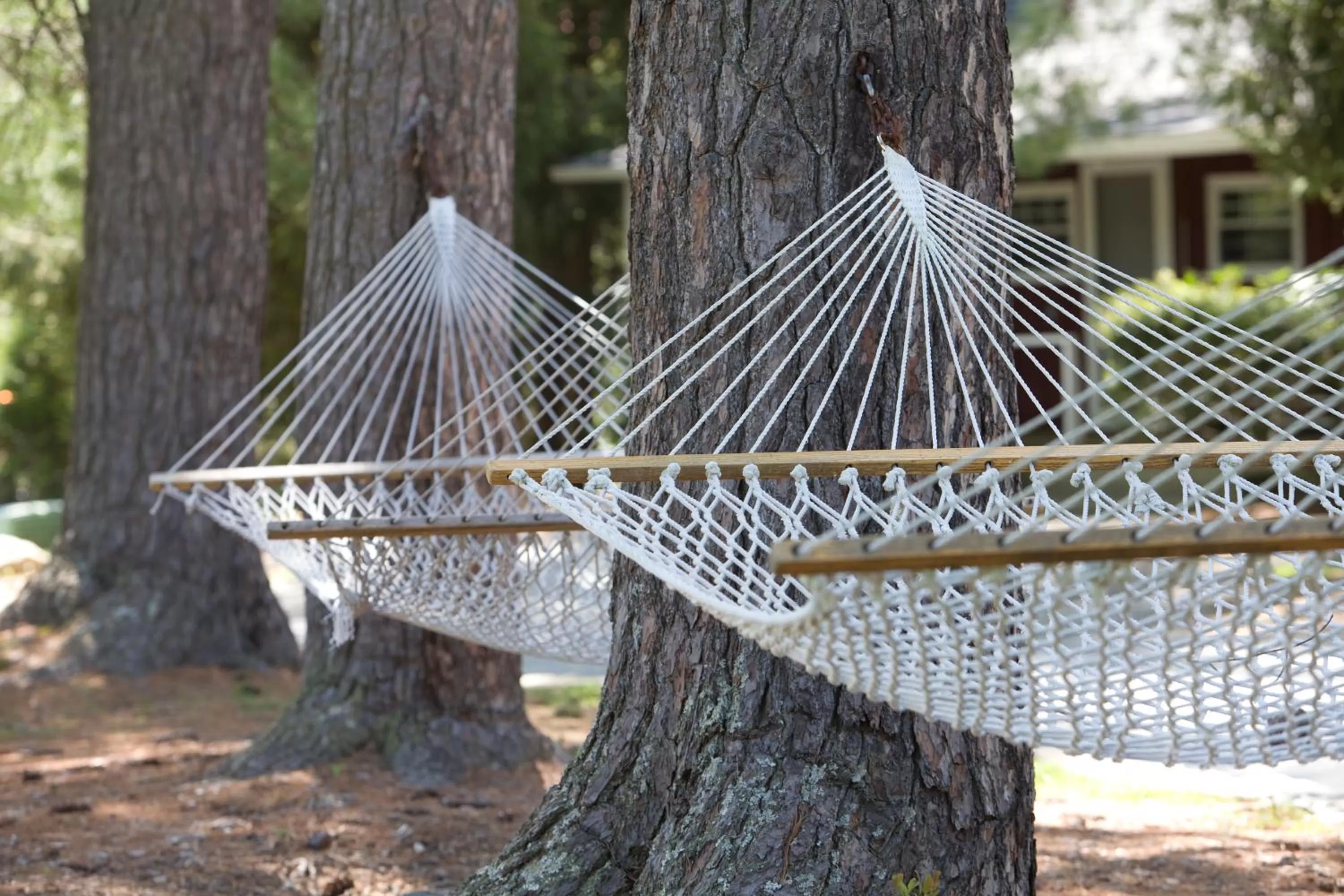 Day in Highland Lake Inn & Resort - Flat Rock