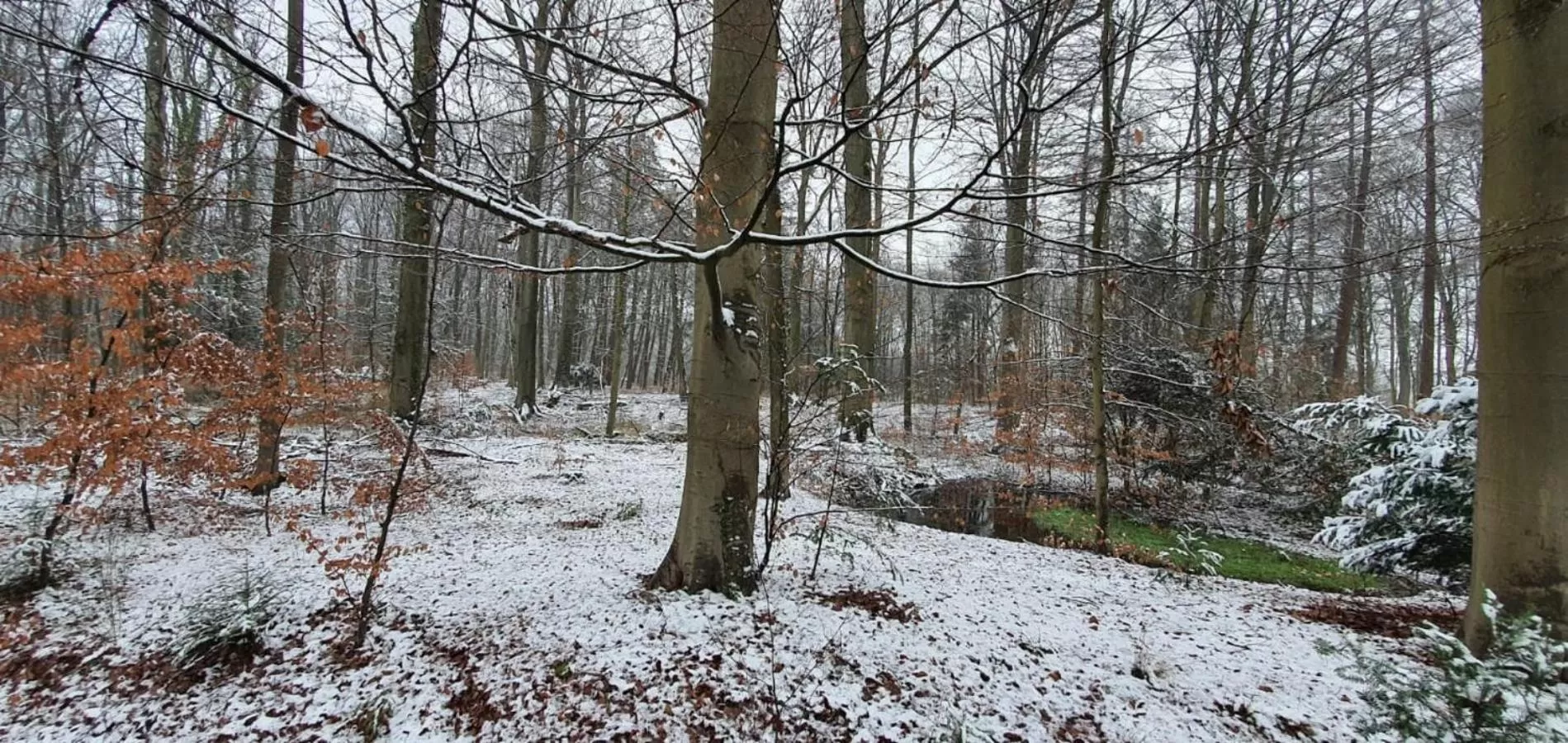 Winter in Hotel Restaurant Roerdinkhof