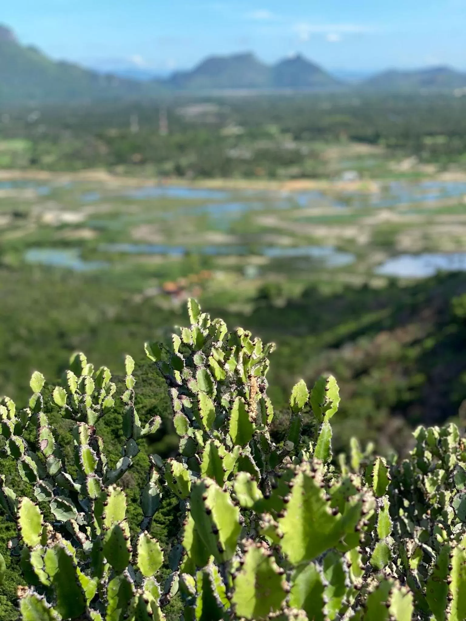 Jing Jo Boutique Bungalow