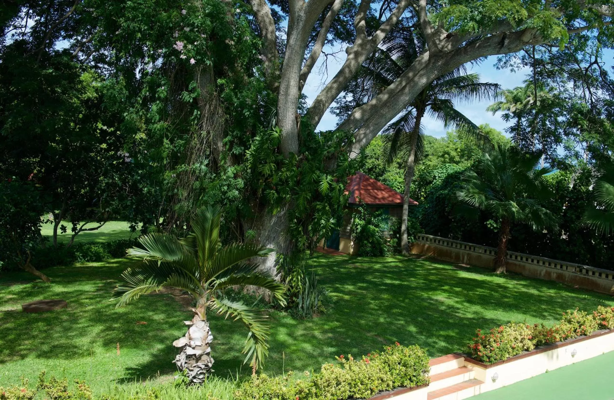 Garden in Habitation du Comté