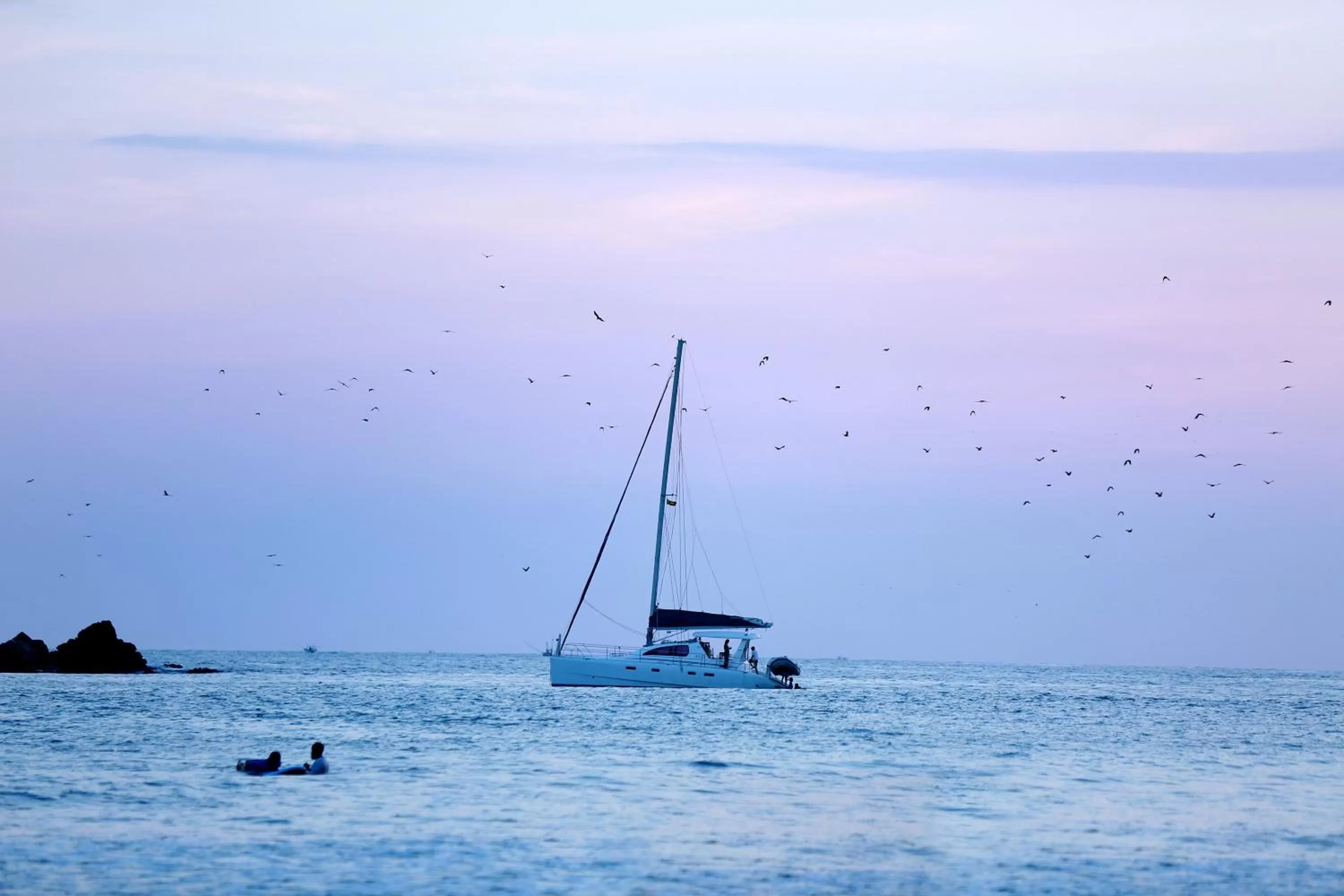 Windsurfing in Temple Tree