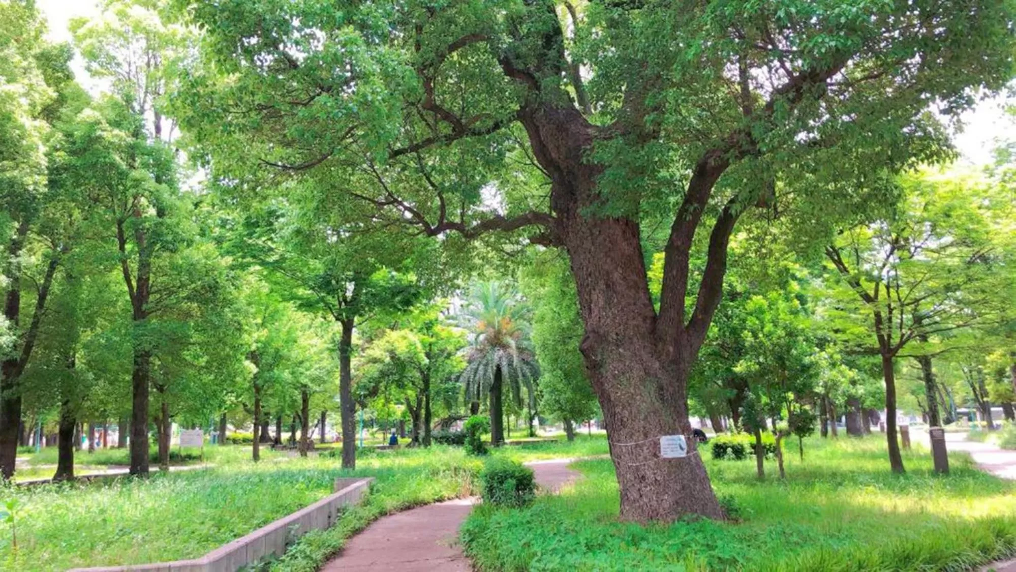 Natural landscape in Toyoko Inn Osaka Hankyu Juso-eki Nishi-guchi No.1
