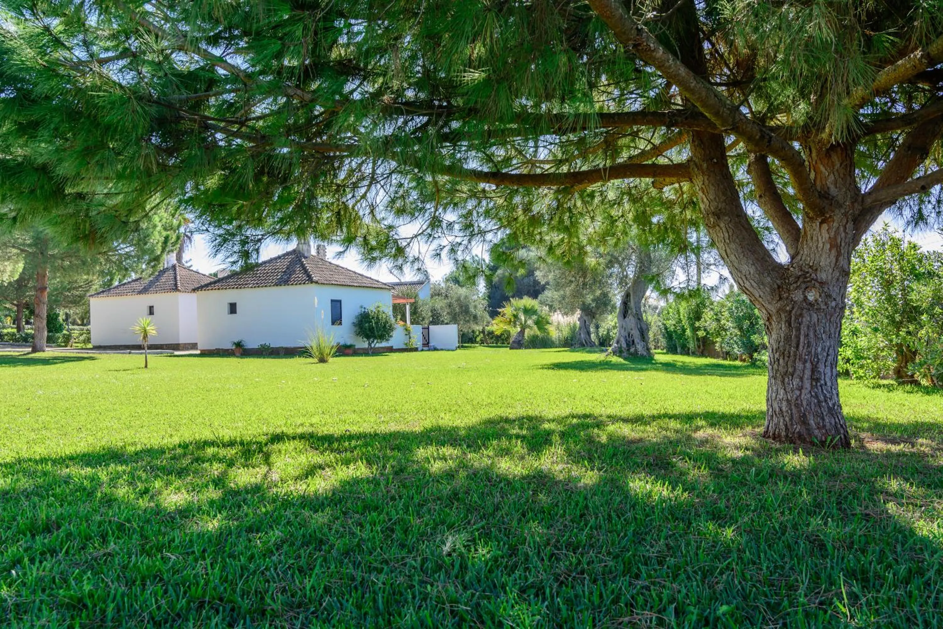 Garden in Pedras Da Rainha