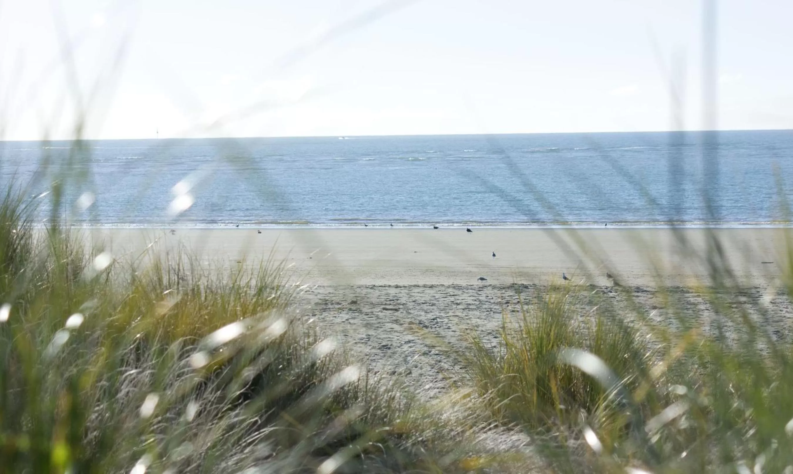 Area and facilities in Arrow Motel Apartments