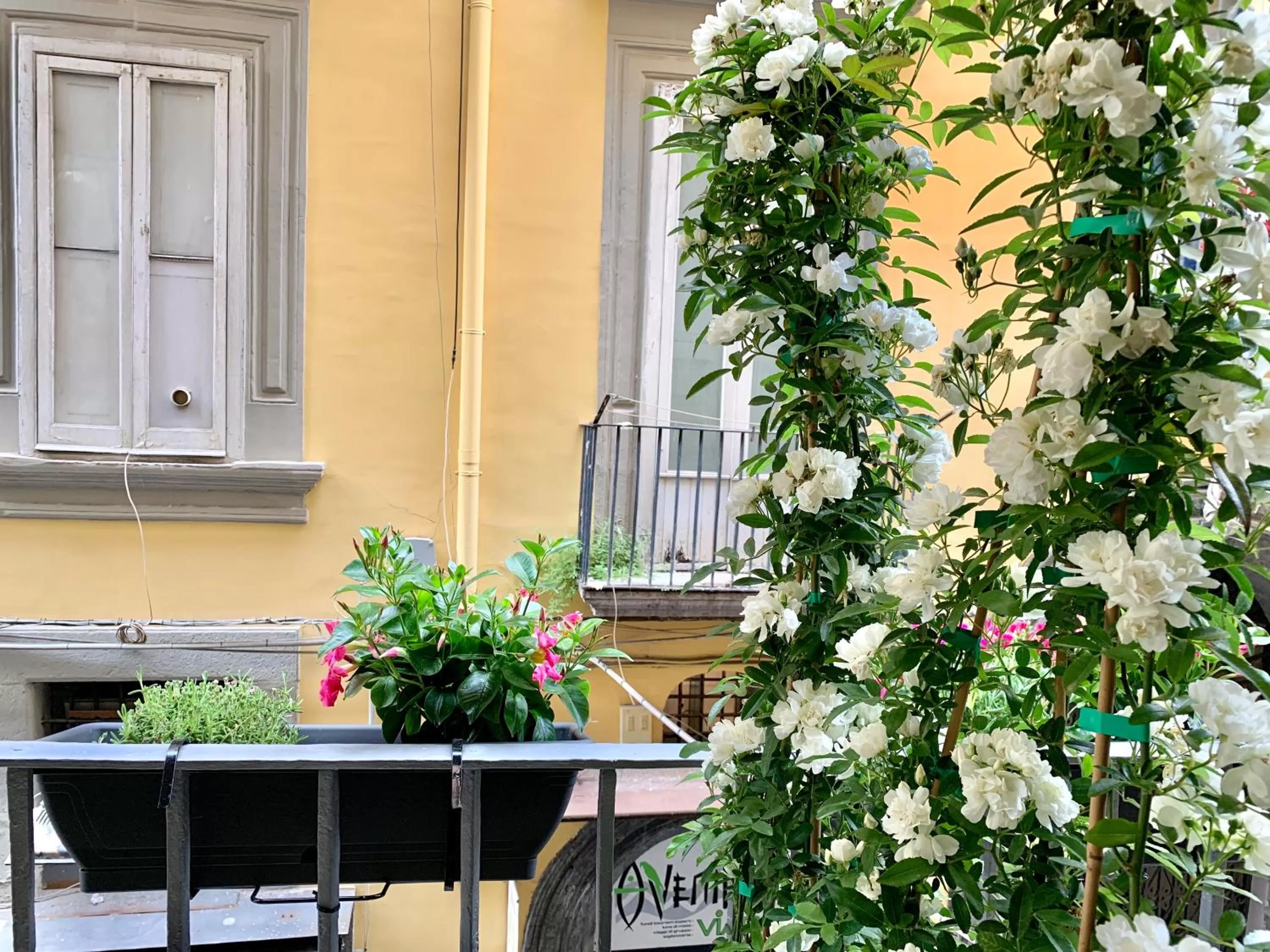 Balcony/Terrace in Toledo Boutique Rooms
