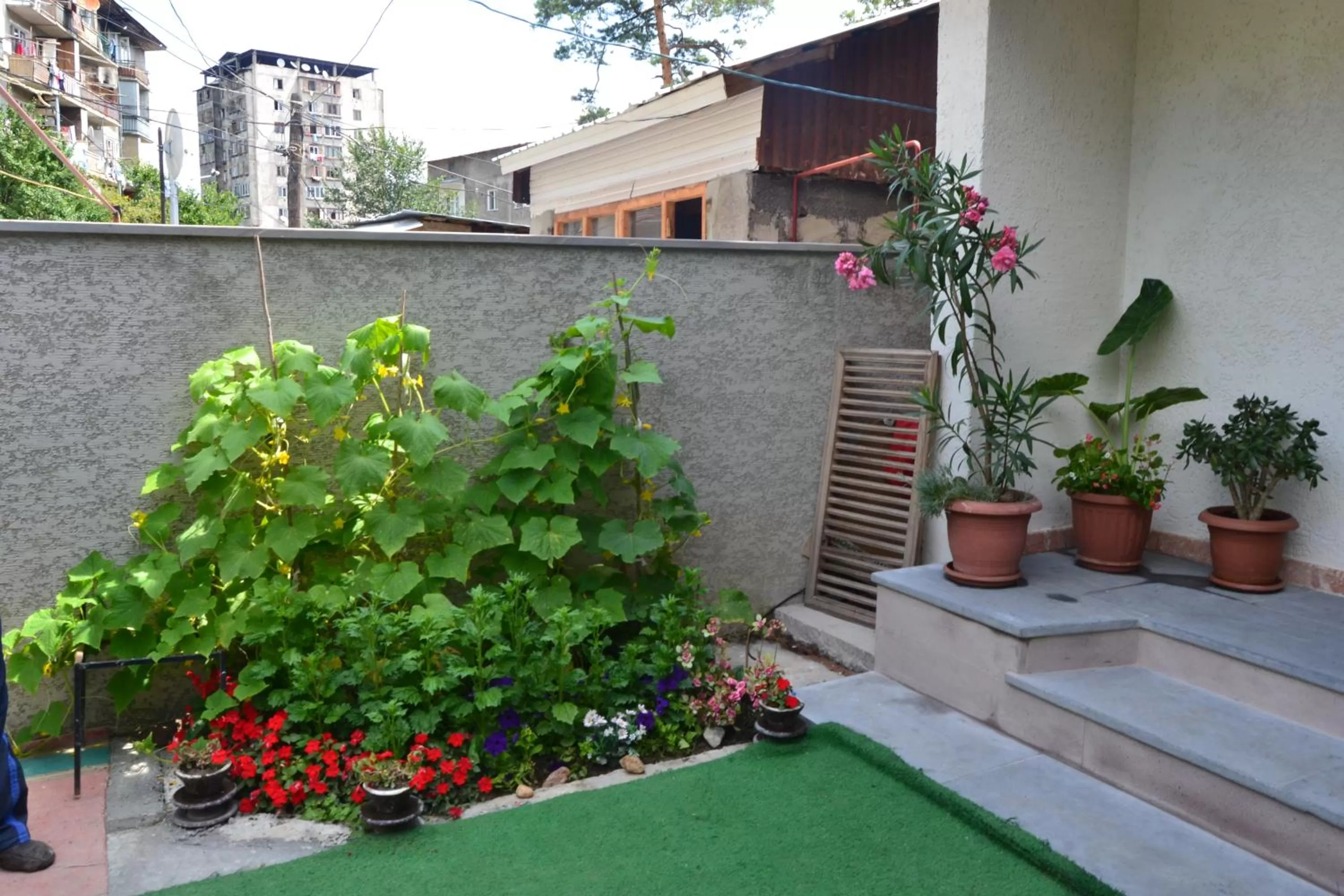 Summer, Property Building in Borjomi Villa Roma