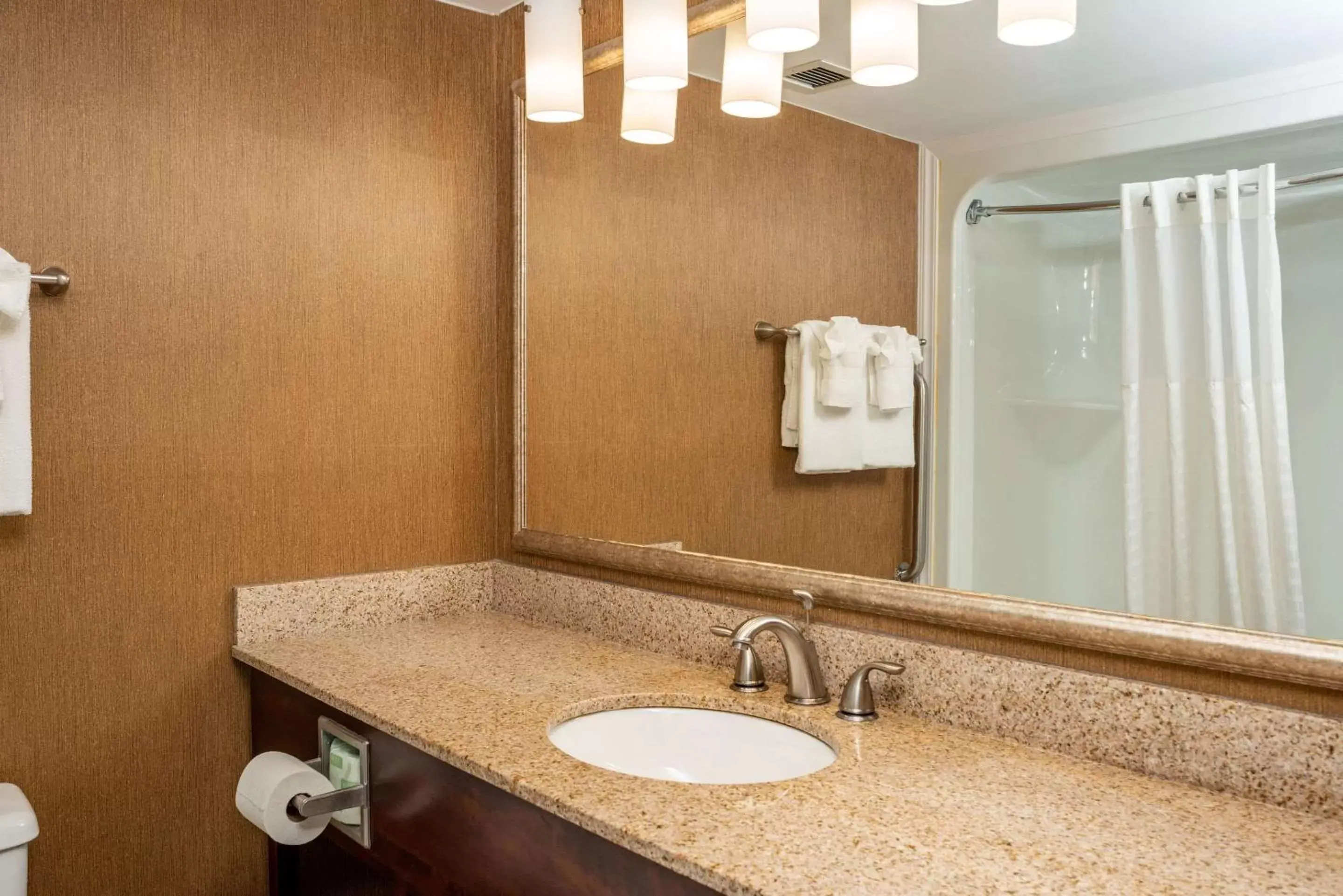 King Room with Roll in Shower - Mobility Accessible/Non-Smoking in Clarion Pointe Harrisonburg King Room with Roll in Shower - Mobility Accessible/Non-Smoking in Clarion Pointe Harrisonburg