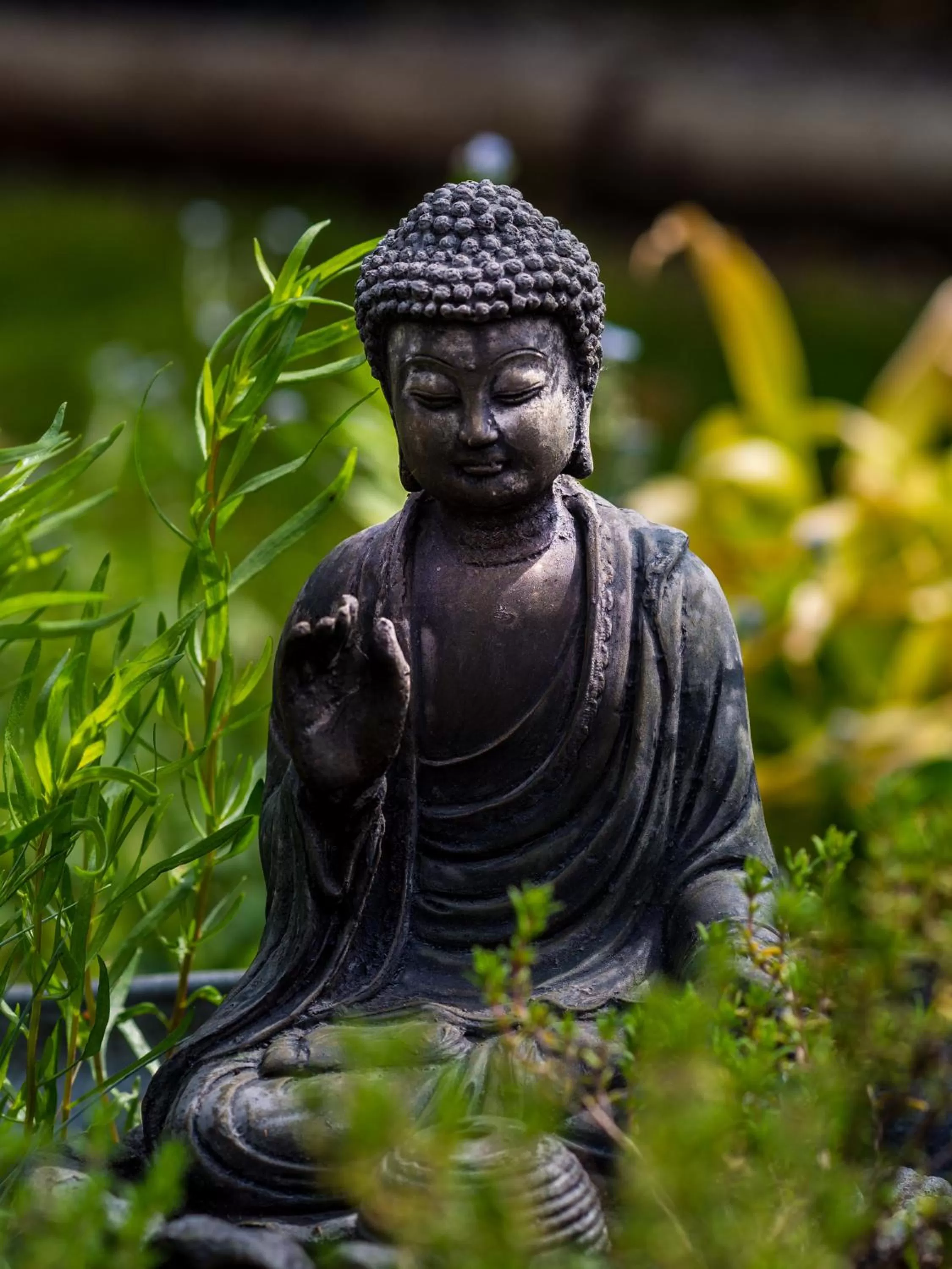 Garden view in B&B La Grange