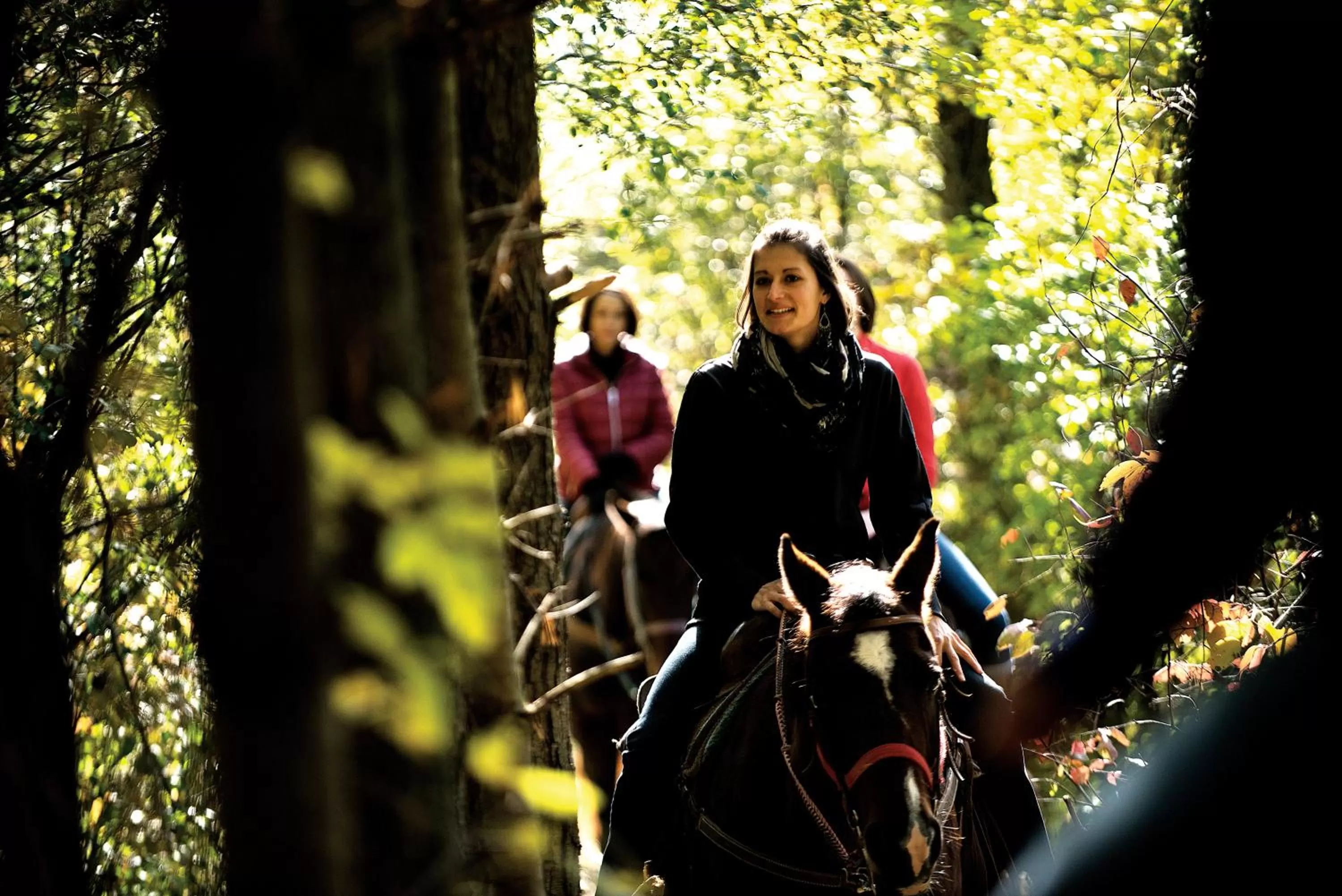 Horse-riding in Grand Geneva Resort and Spa